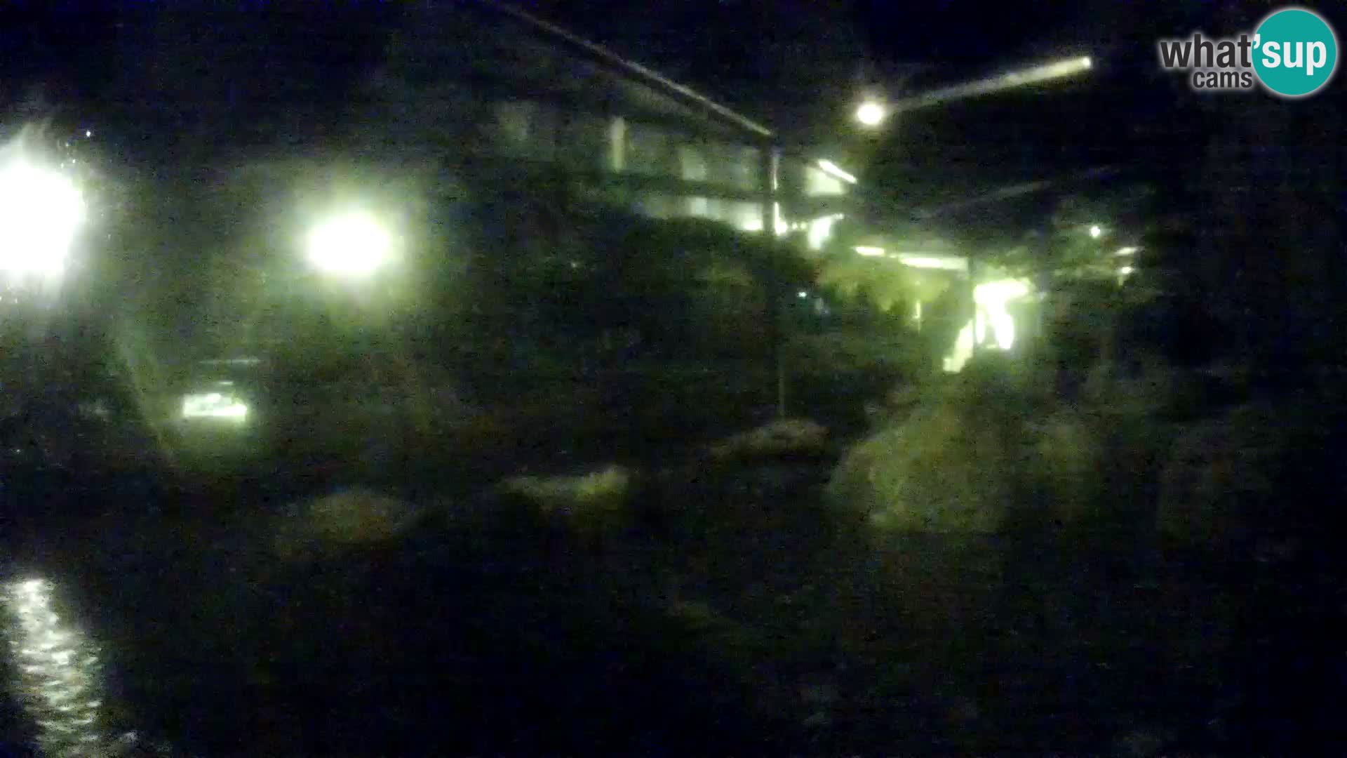 Aquario marino esterno –  Rogoznica livecam Croazia