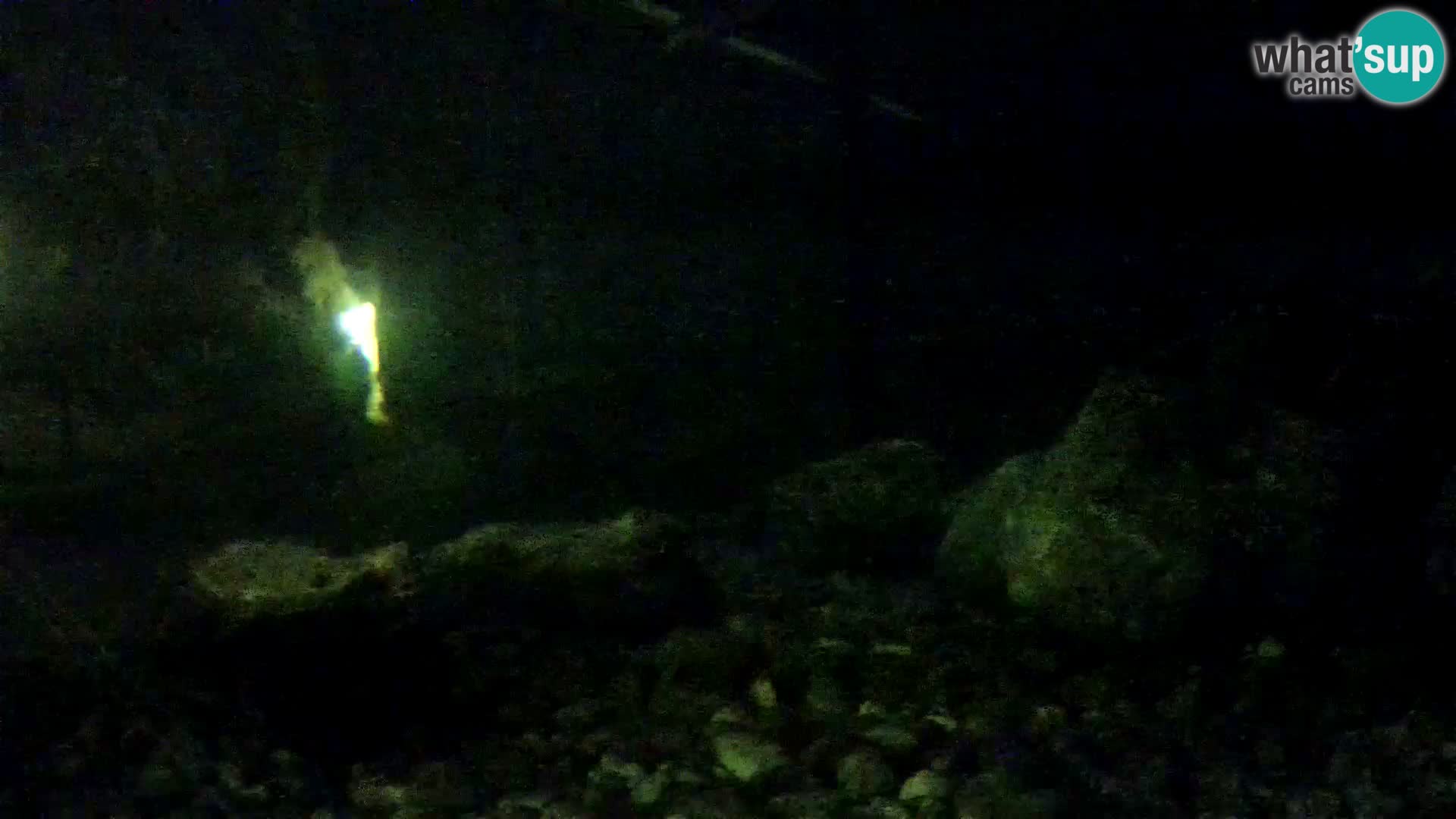 Webcam de l’aquarium marin extérieur de Rogoznica Croatie