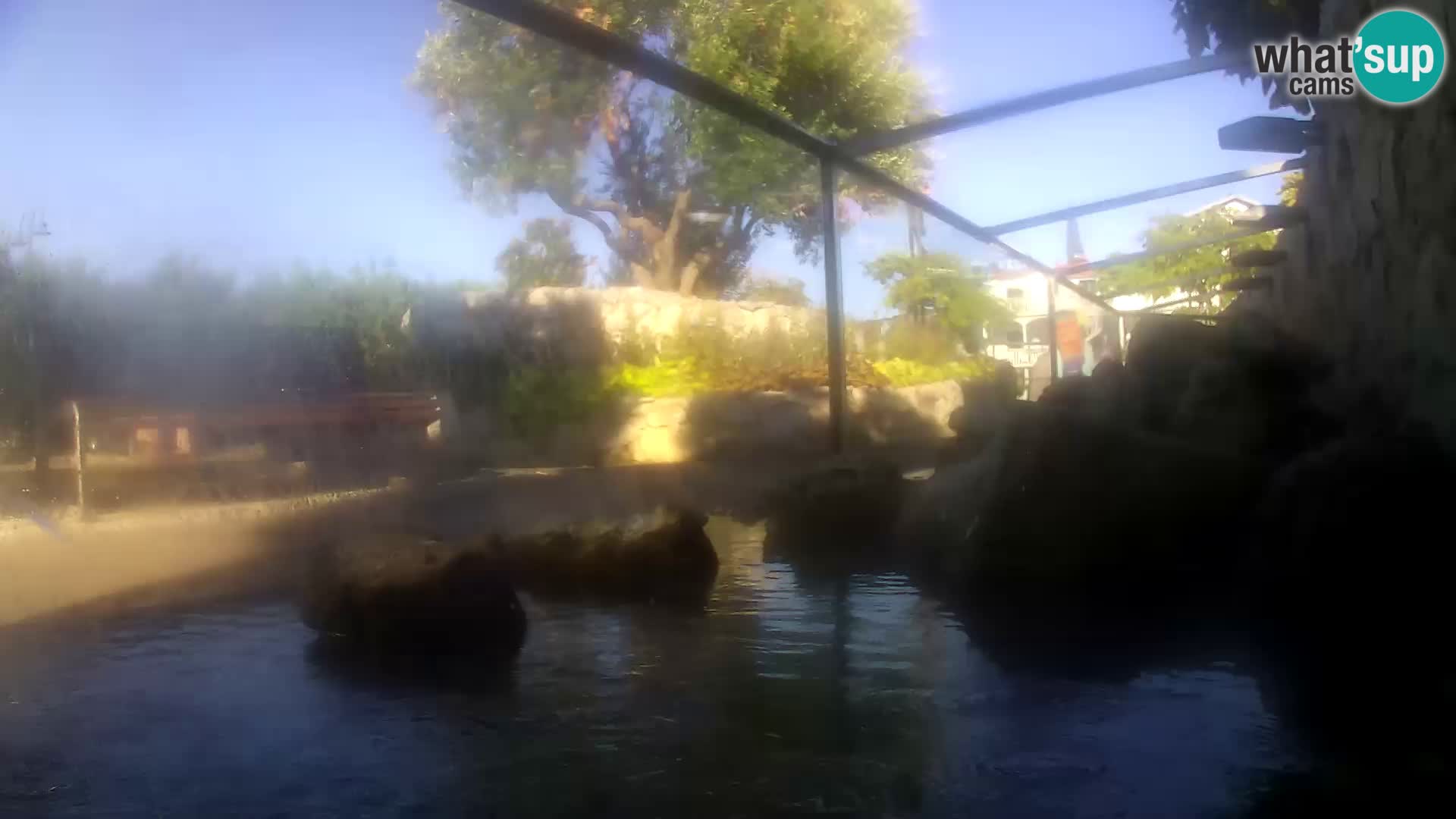 Zunanji morski akvarij Rogoznica spletna kamera Hrvaška