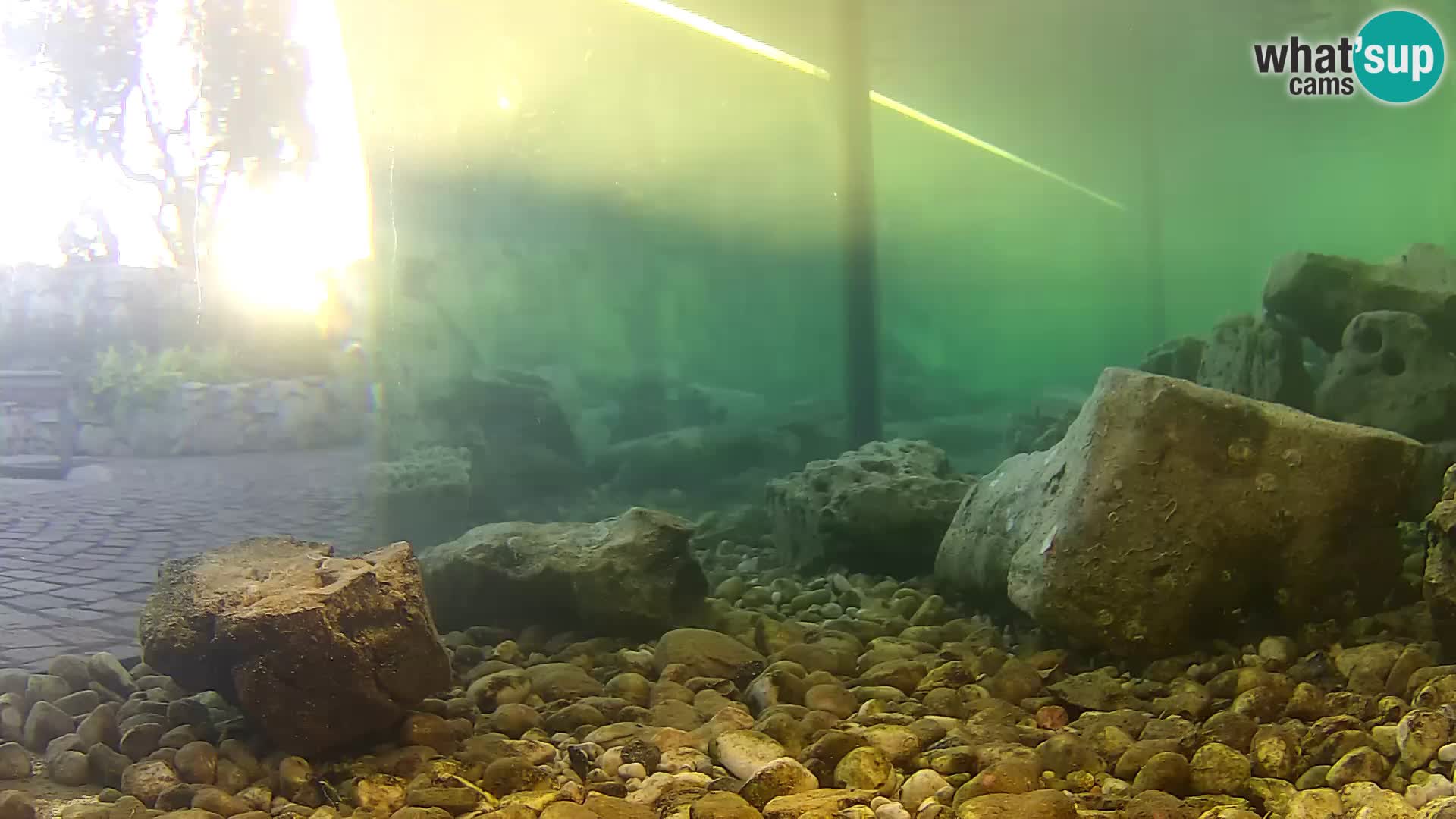 Webcam de l’aquarium marin extérieur de Rogoznica Croatie