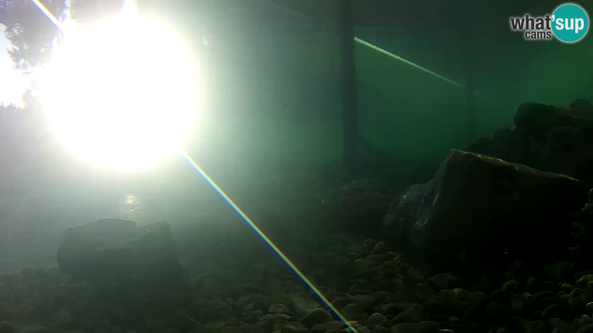 Outdoor Marine Aquarium Rogoznica webcam Croatia