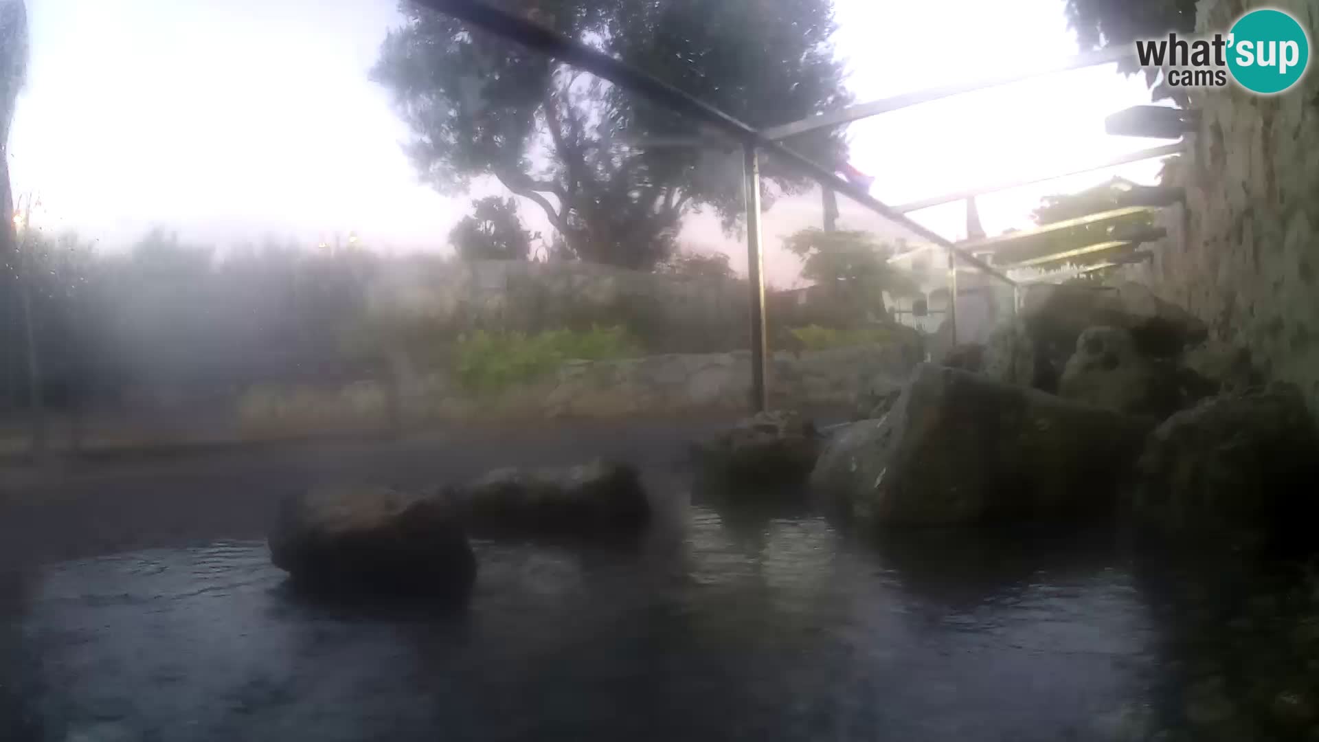 Acuario marino al aire libre Rogoznica webcam Croacia