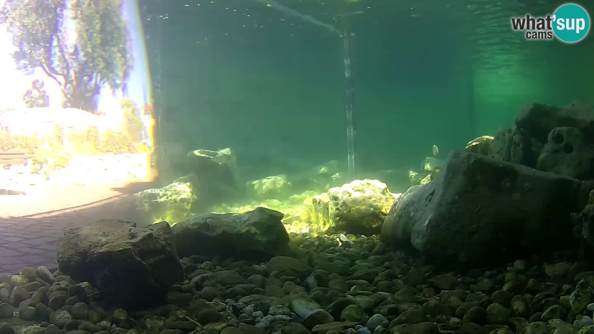 Outdoor Marine Aquarium Rogoznica webcam Croatia