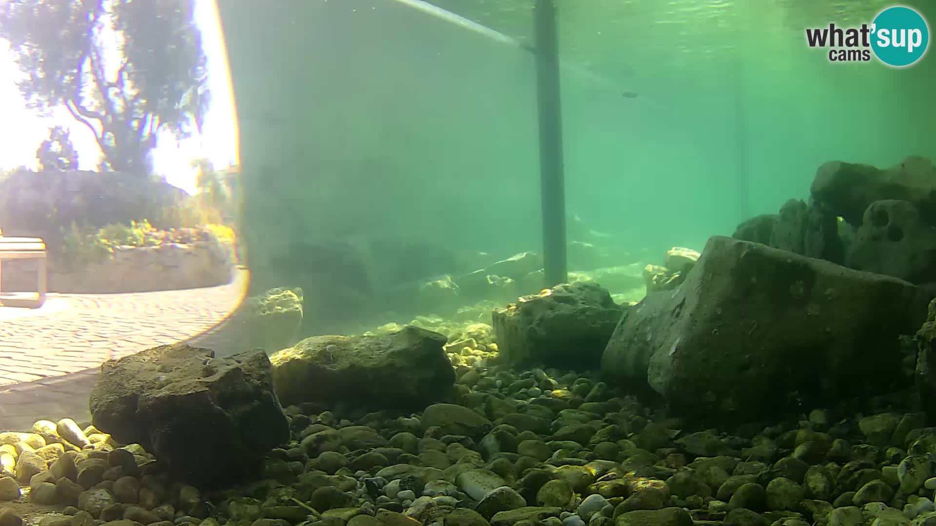 Marine Aquarium im Freien Rogoznica webcam Kroatien