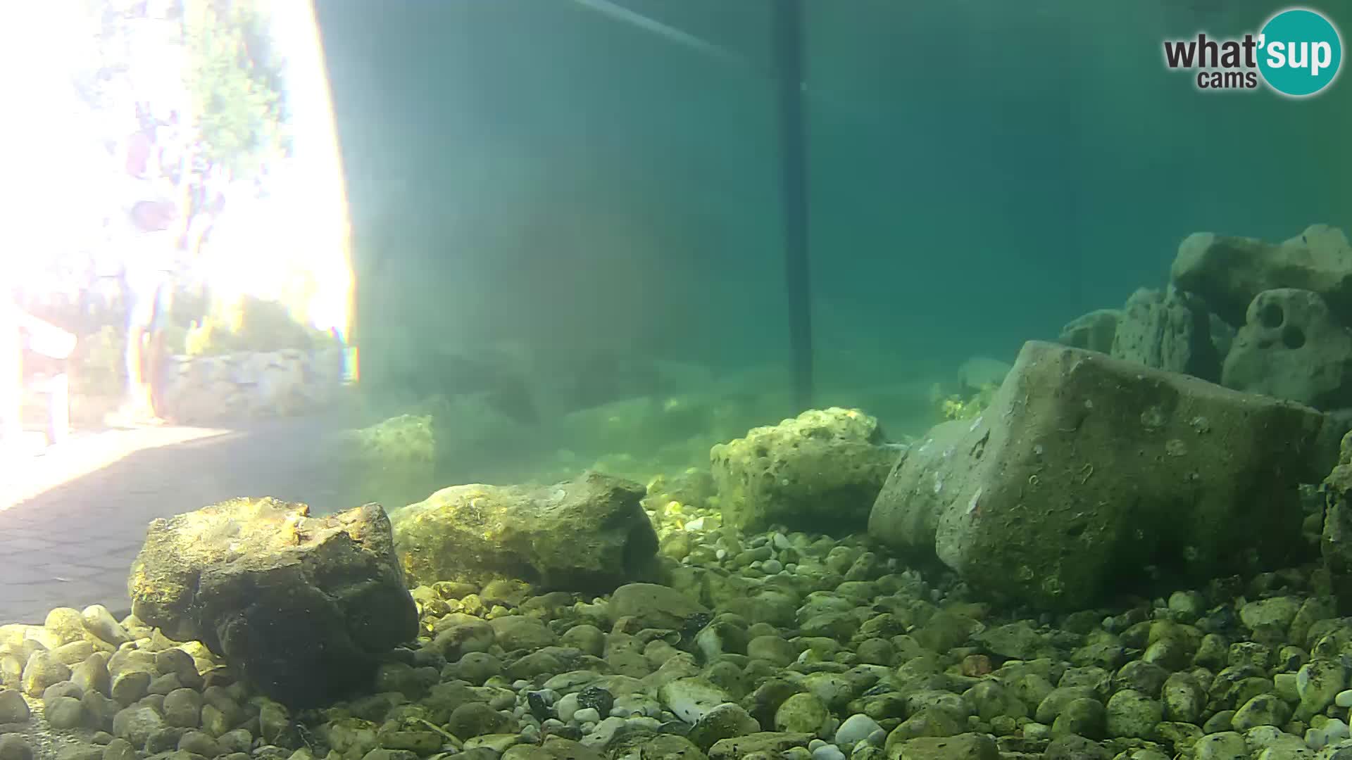 Outdoor Marine Aquarium Rogoznica webcam Croatia