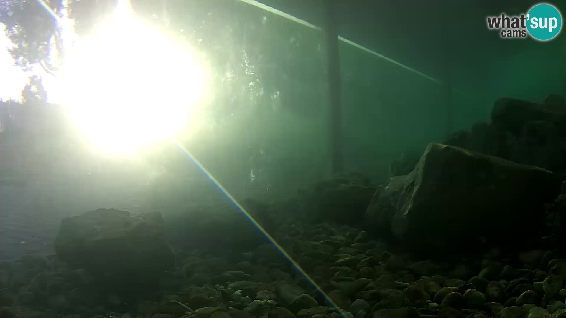 Outdoor Marine Aquarium Rogoznica webcam Croatia