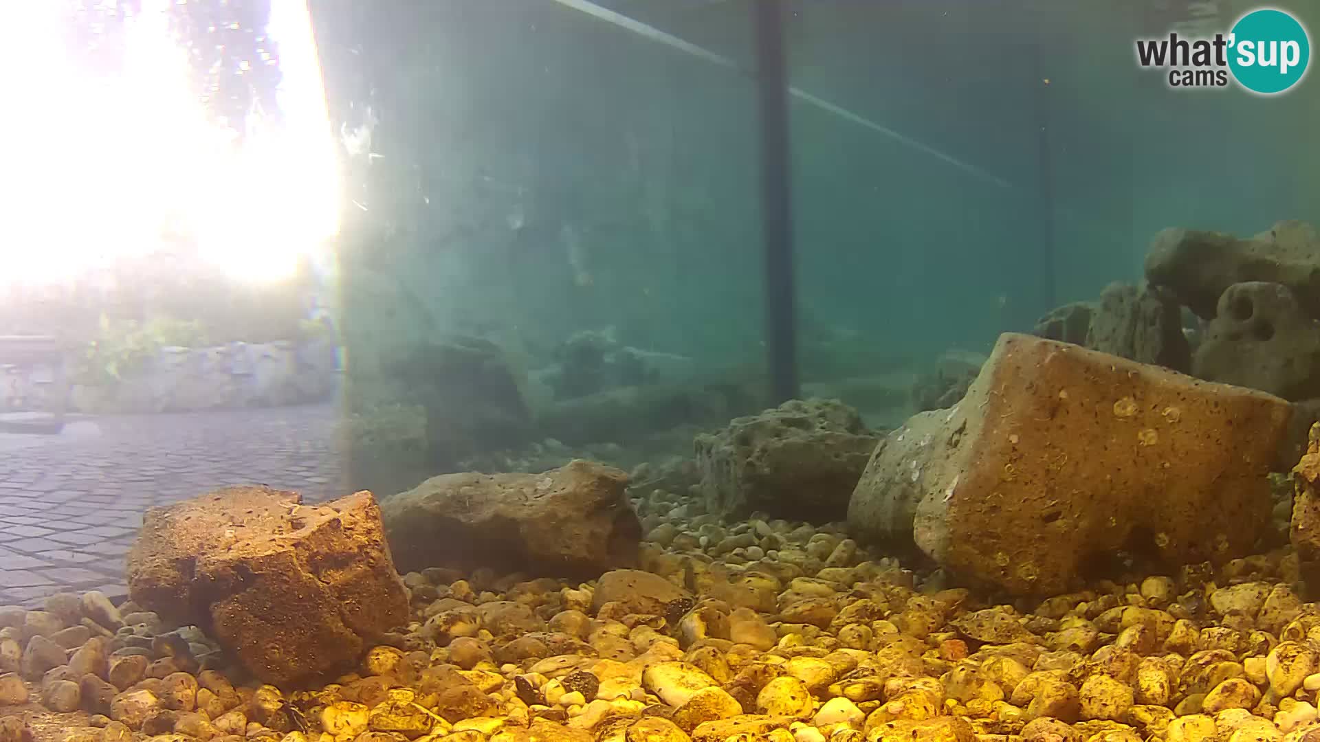Marine Aquarium im Freien Rogoznica webcam Kroatien