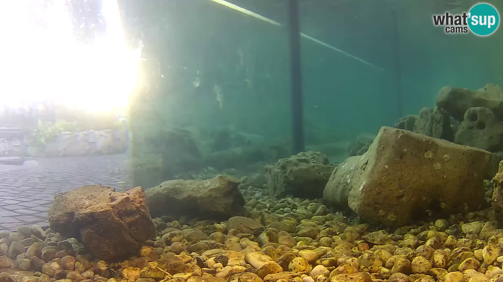 Outdoor Marine Aquarium Rogoznica webcam Croatia