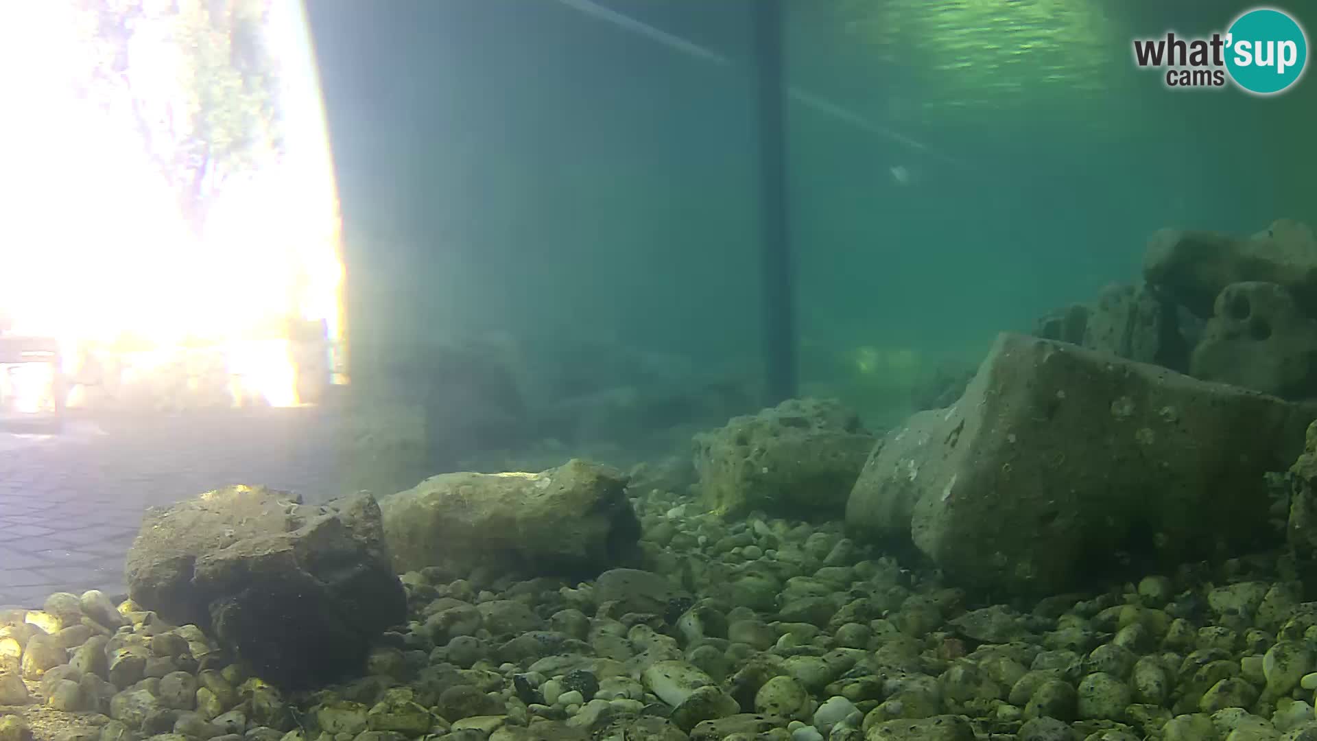 Marine Aquarium im Freien Rogoznica webcam Kroatien