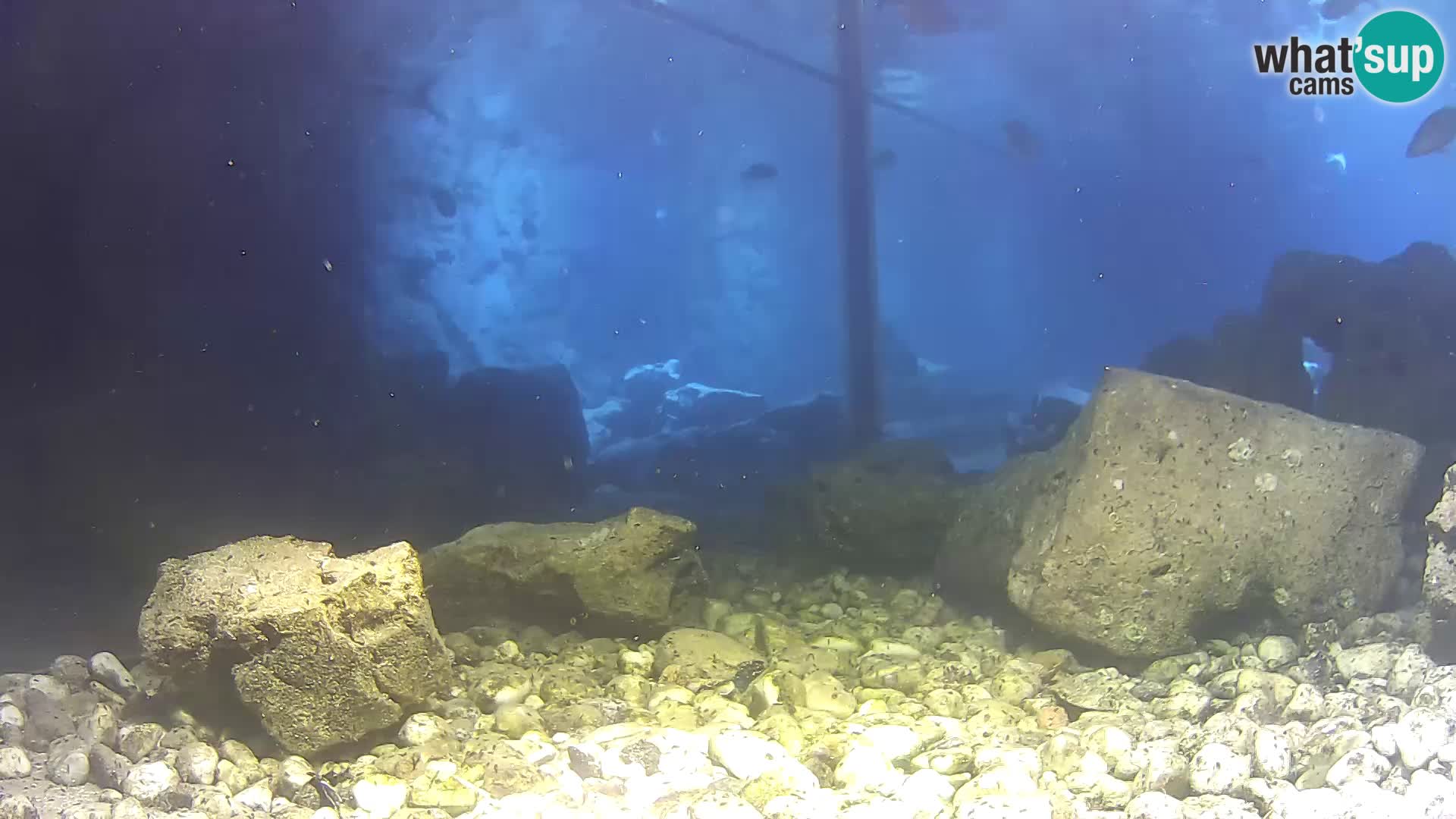 Marine Aquarium im Freien Rogoznica webcam Kroatien