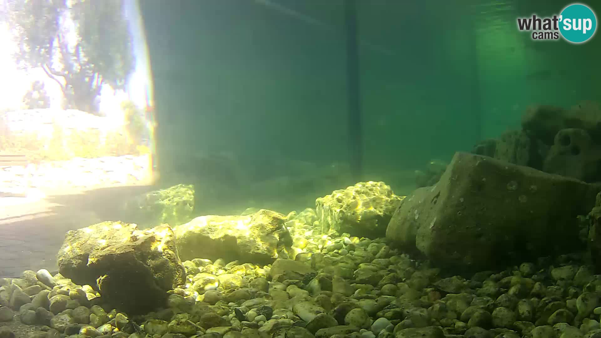 Outdoor Marine Aquarium Rogoznica webcam Croatia