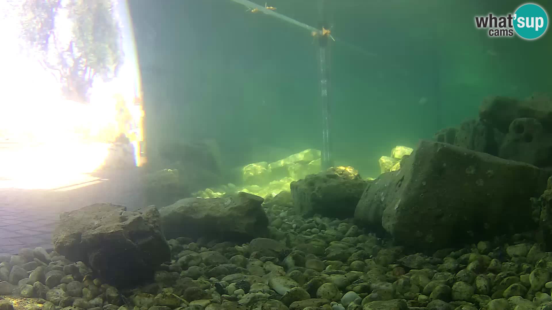 Acuario marino al aire libre Rogoznica webcam Croacia
