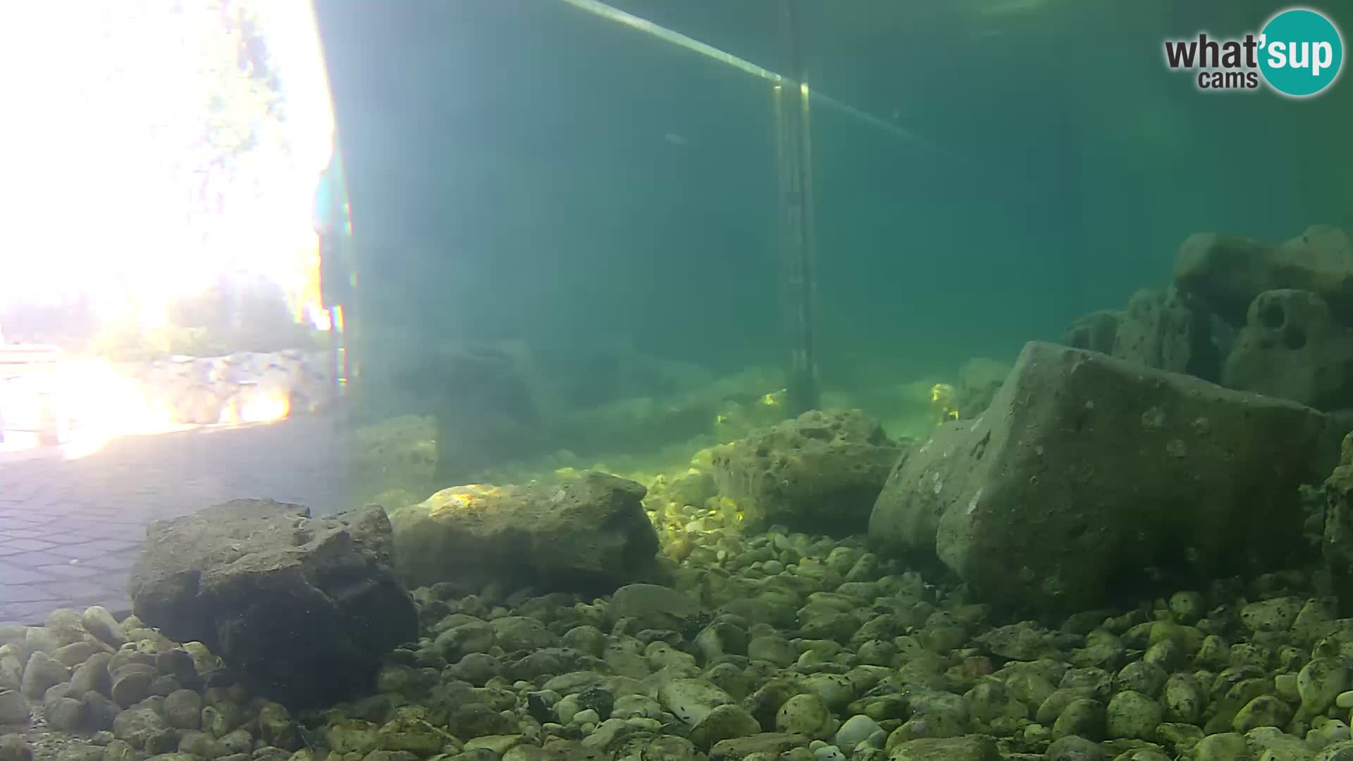Webcam de l’aquarium marin extérieur de Rogoznica Croatie