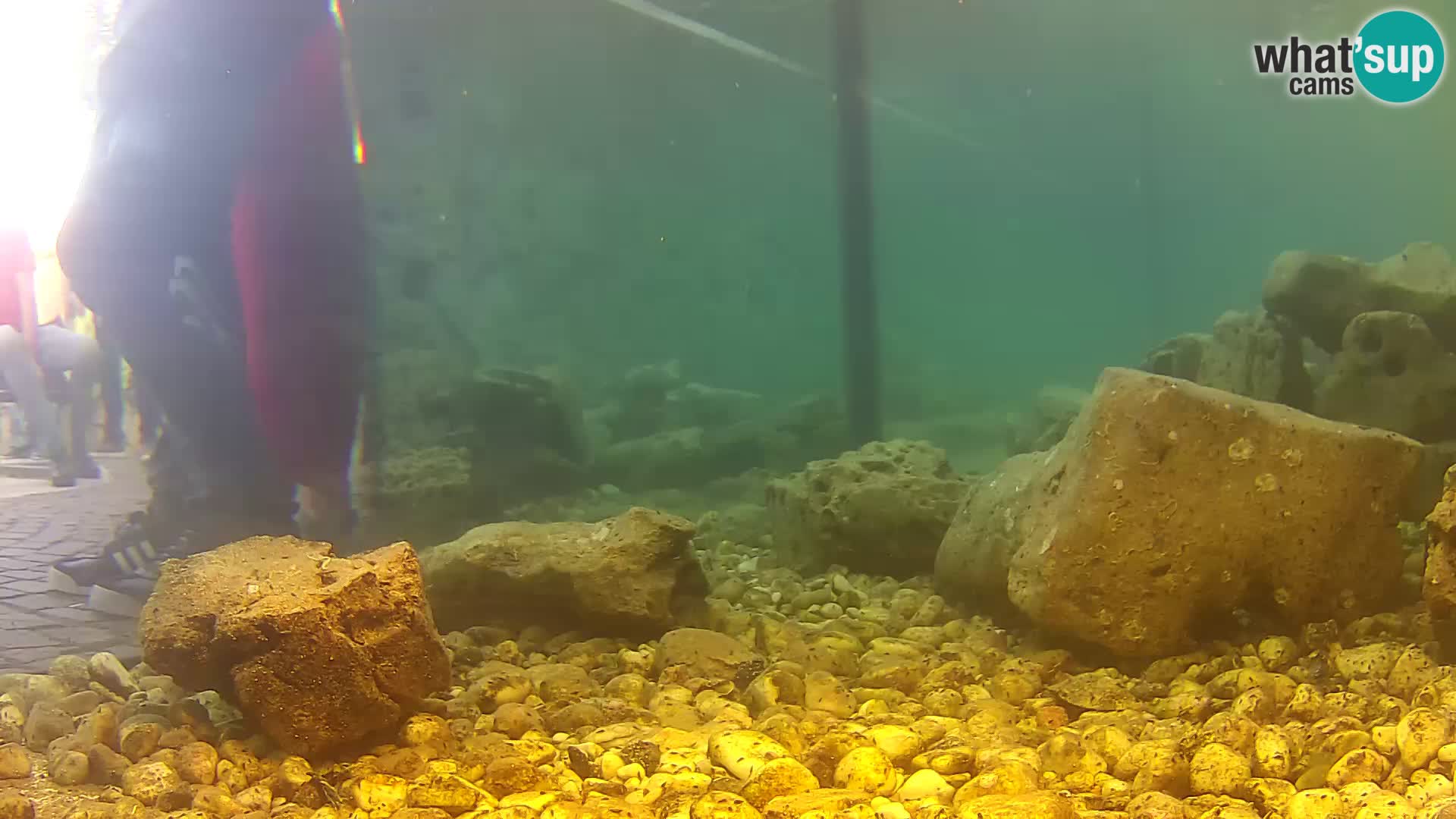 Marine Aquarium im Freien Rogoznica webcam Kroatien