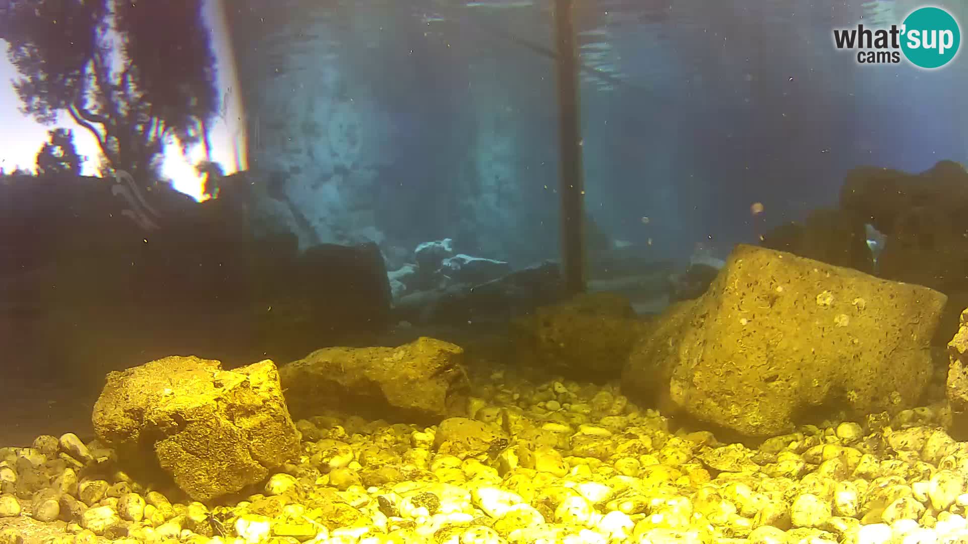 Outdoor Marine Aquarium Rogoznica webcam Croatia