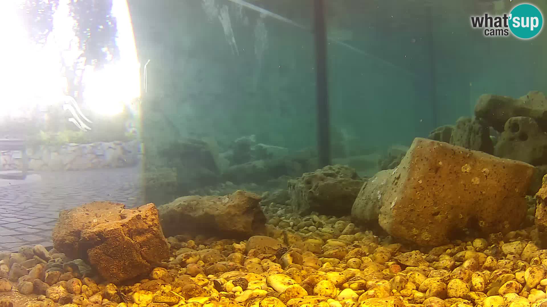 Outdoor Marine Aquarium Rogoznica webcam Croatia
