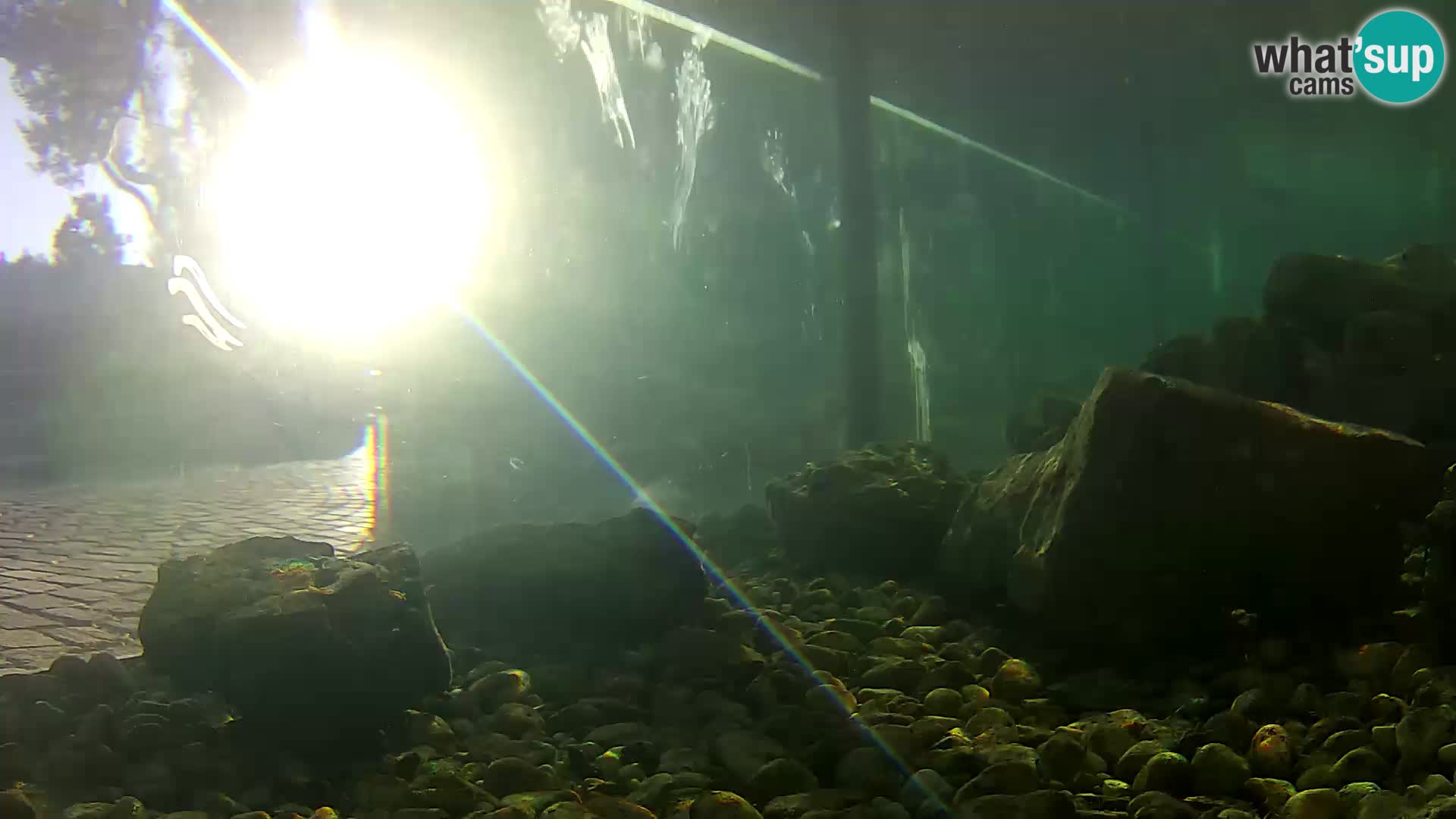 Outdoor Marine Aquarium Rogoznica webcam Croatia
