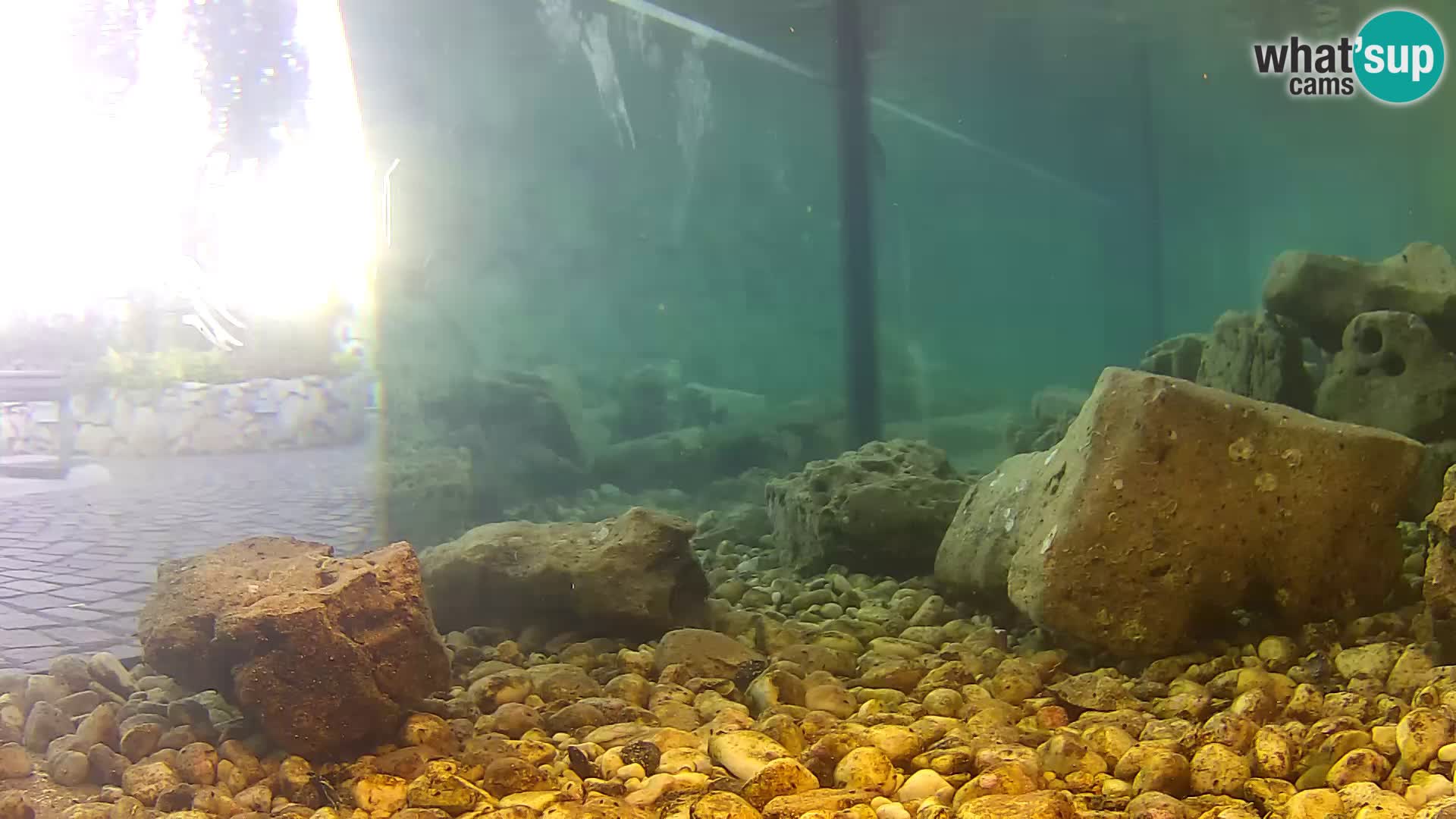 Outdoor Marine Aquarium Rogoznica webcam Croatia