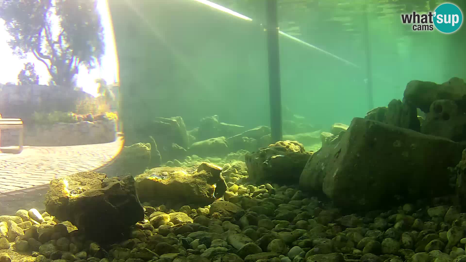 Outdoor Marine Aquarium Rogoznica webcam Croatia