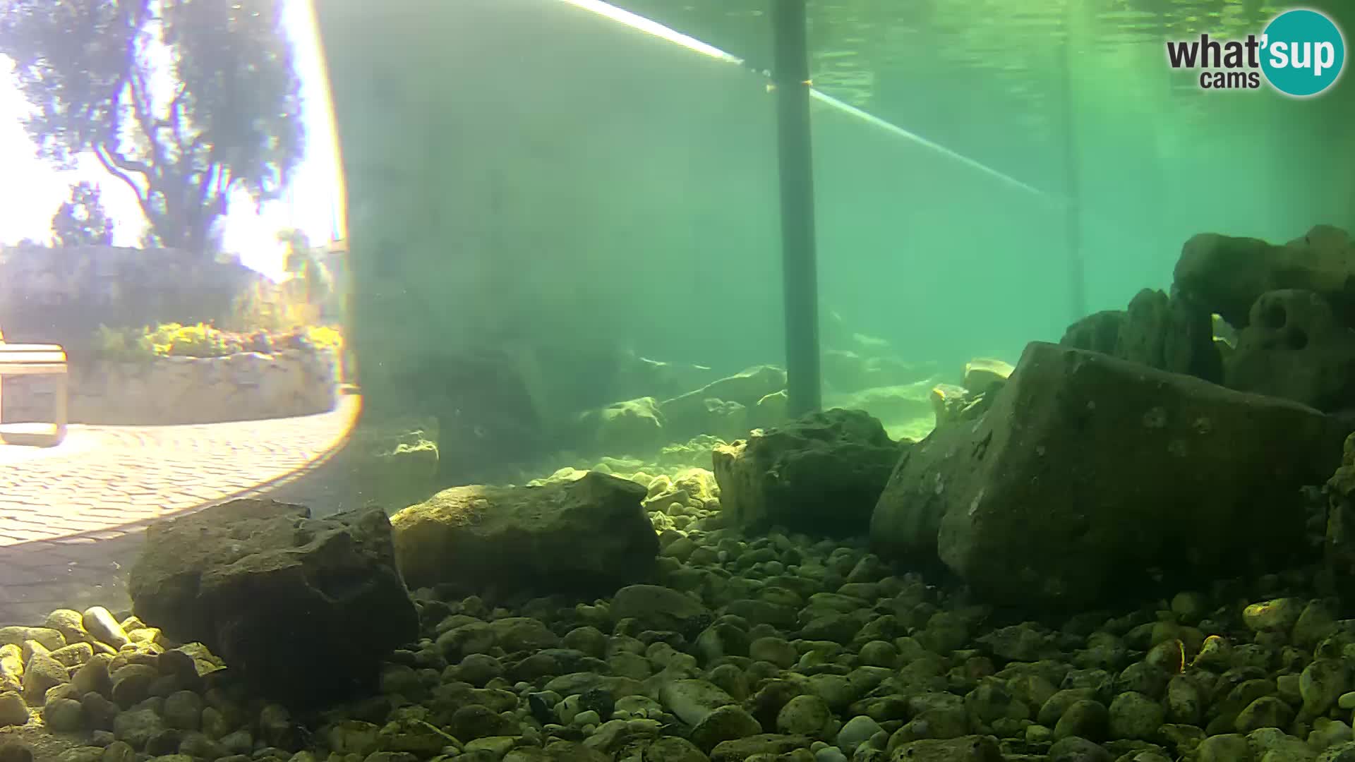 Outdoor Marine Aquarium Rogoznica webcam Croatia