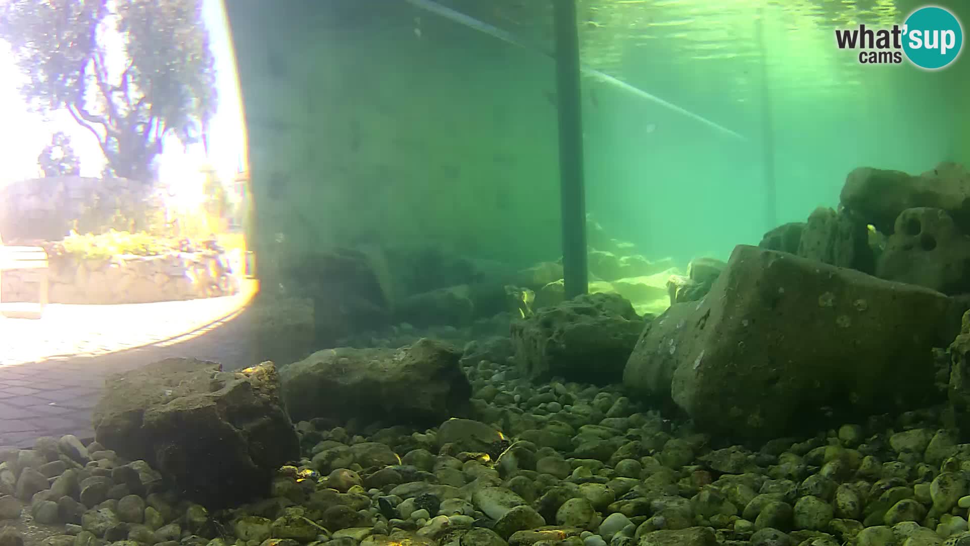 Marine Aquarium im Freien Rogoznica webcam Kroatien