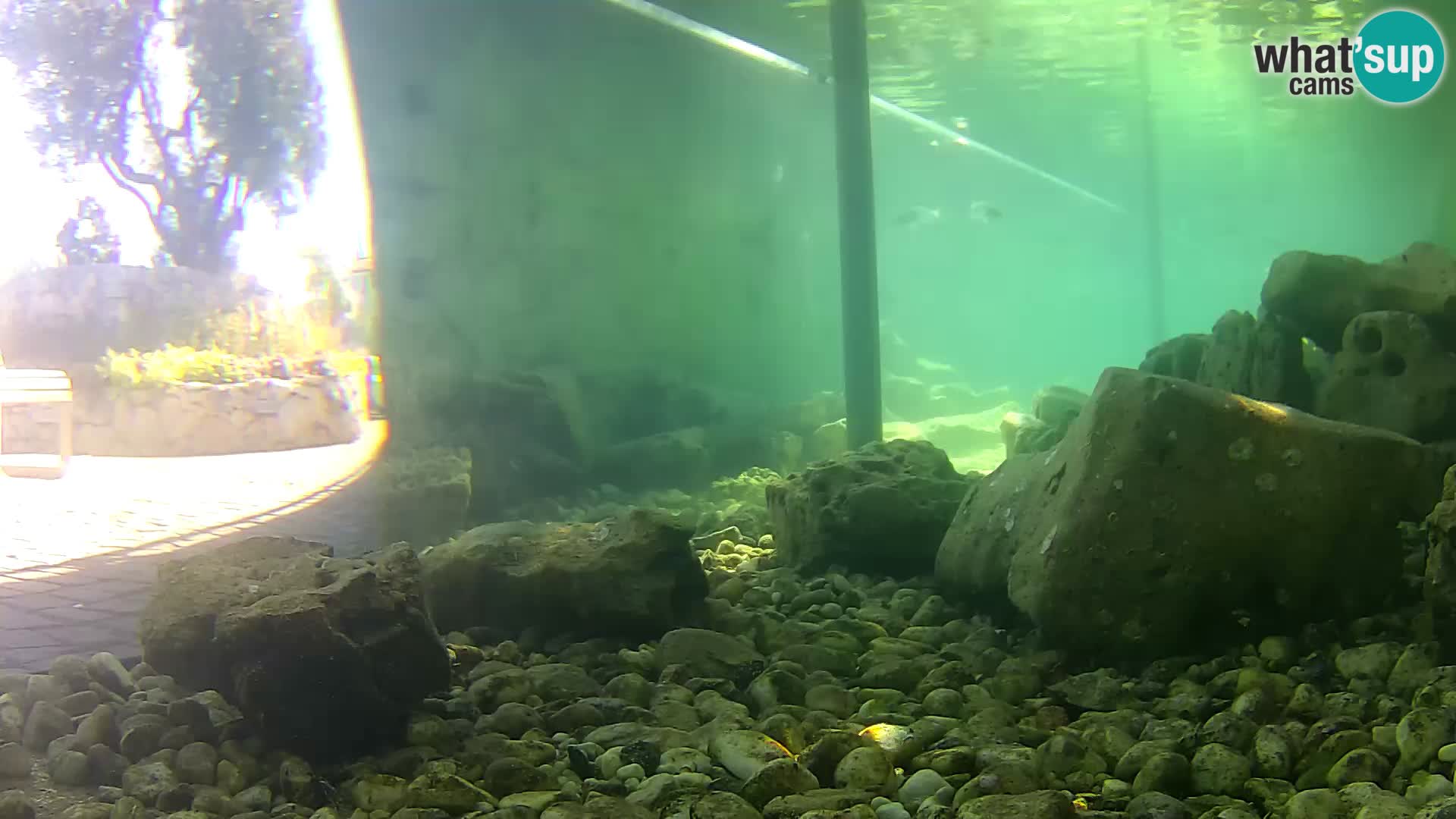 Marine Aquarium im Freien Rogoznica webcam Kroatien