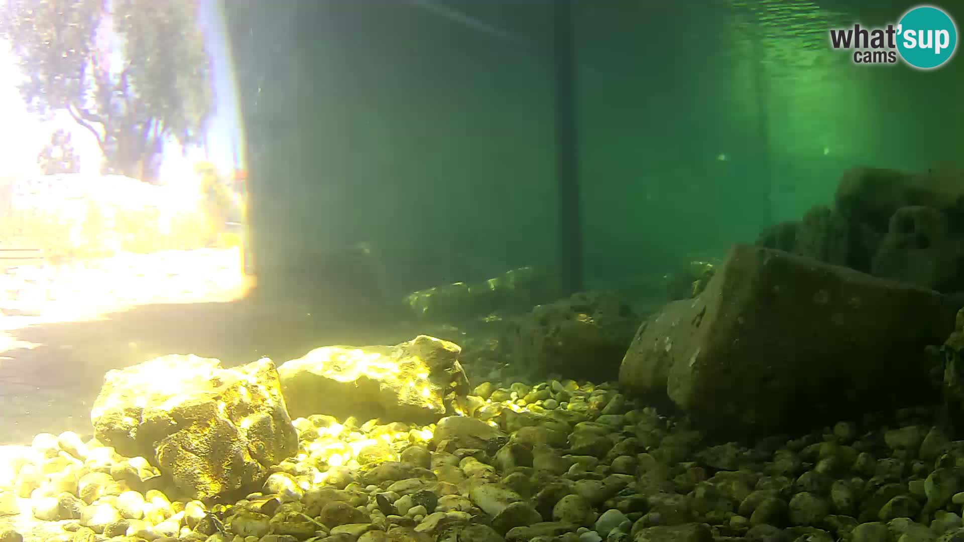 Outdoor Marine Aquarium Rogoznica webcam Croatia