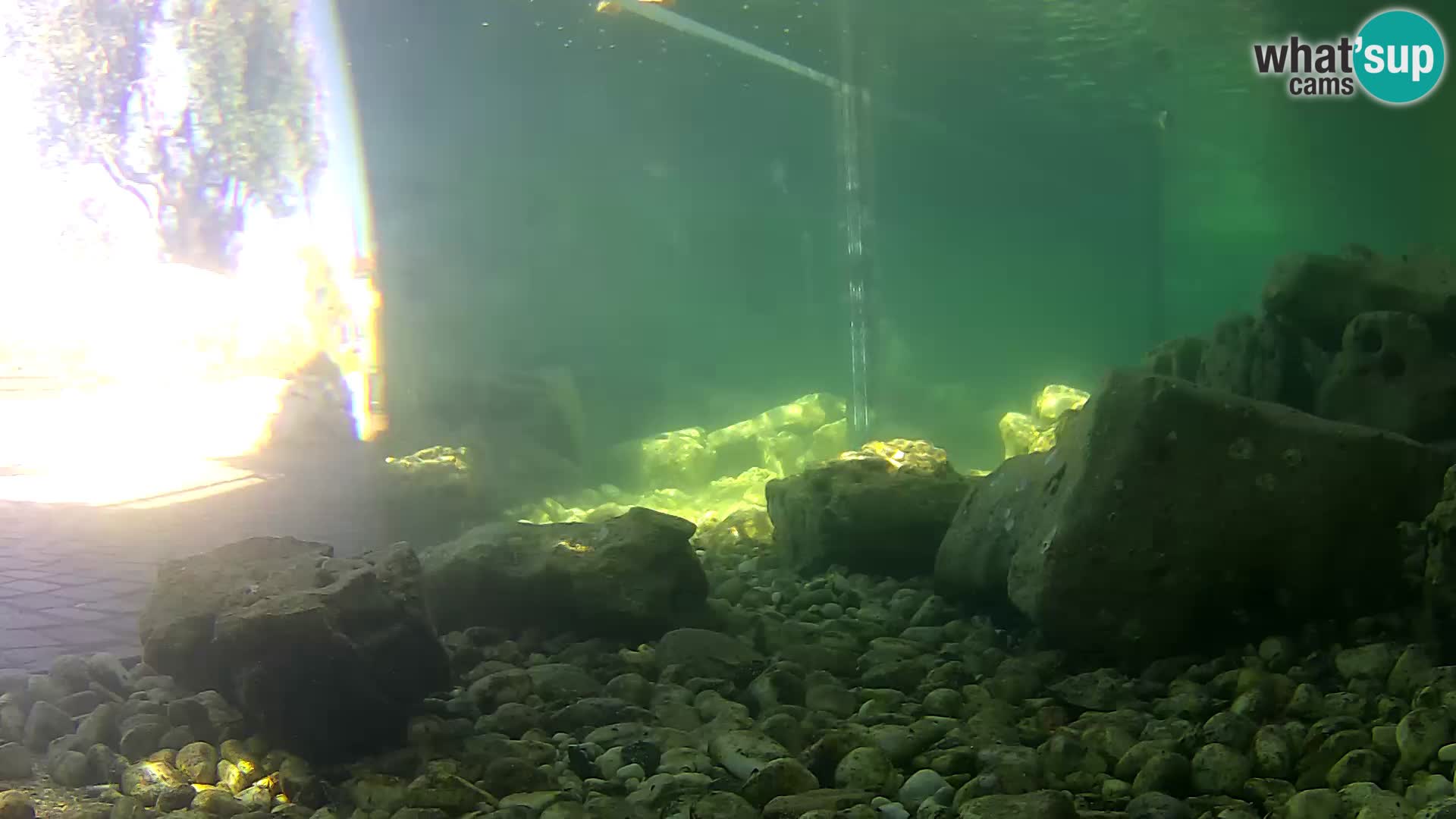 Webcam de l’aquarium marin extérieur de Rogoznica Croatie