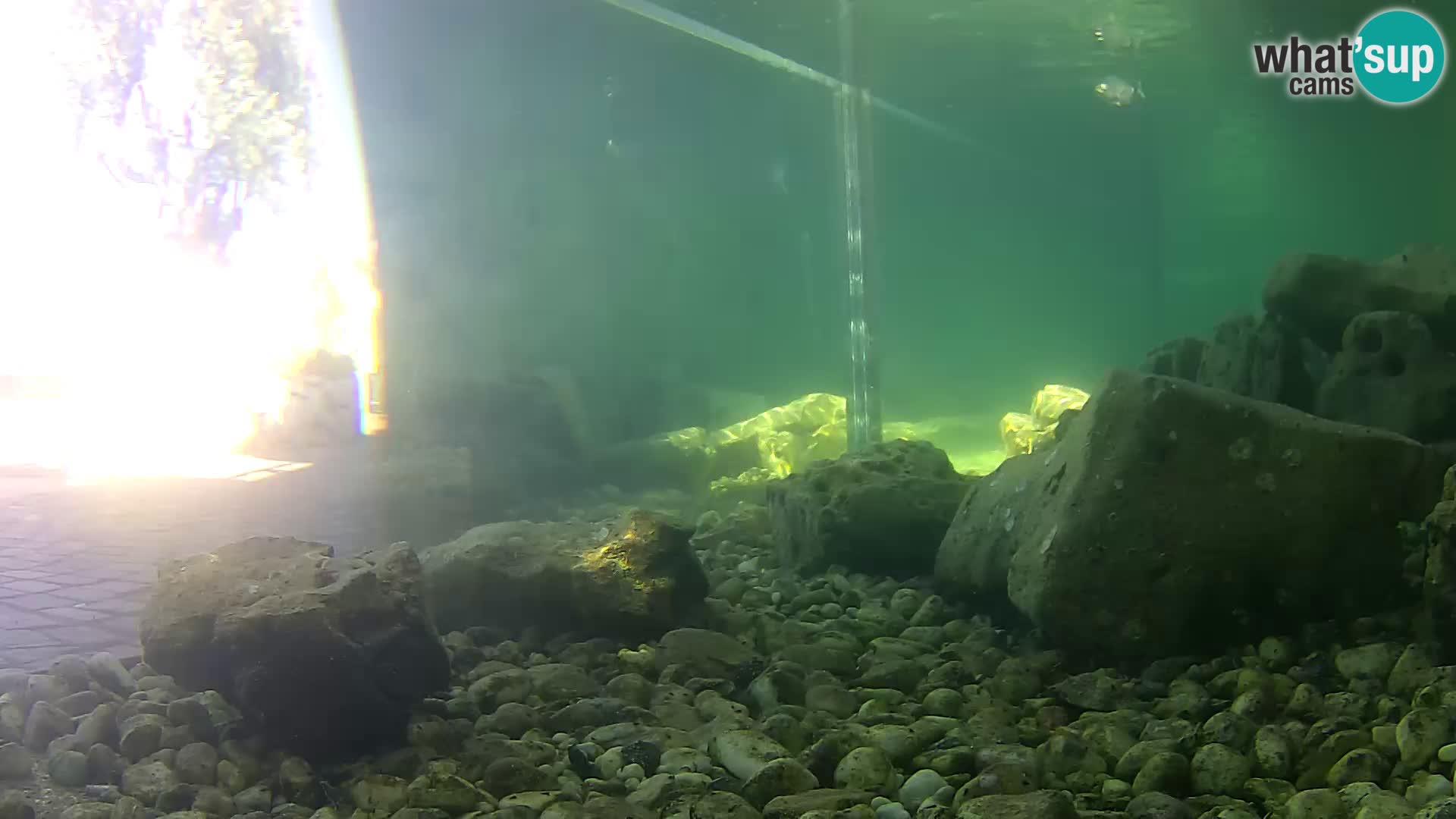Zunanji morski akvarij Rogoznica spletna kamera Hrvaška