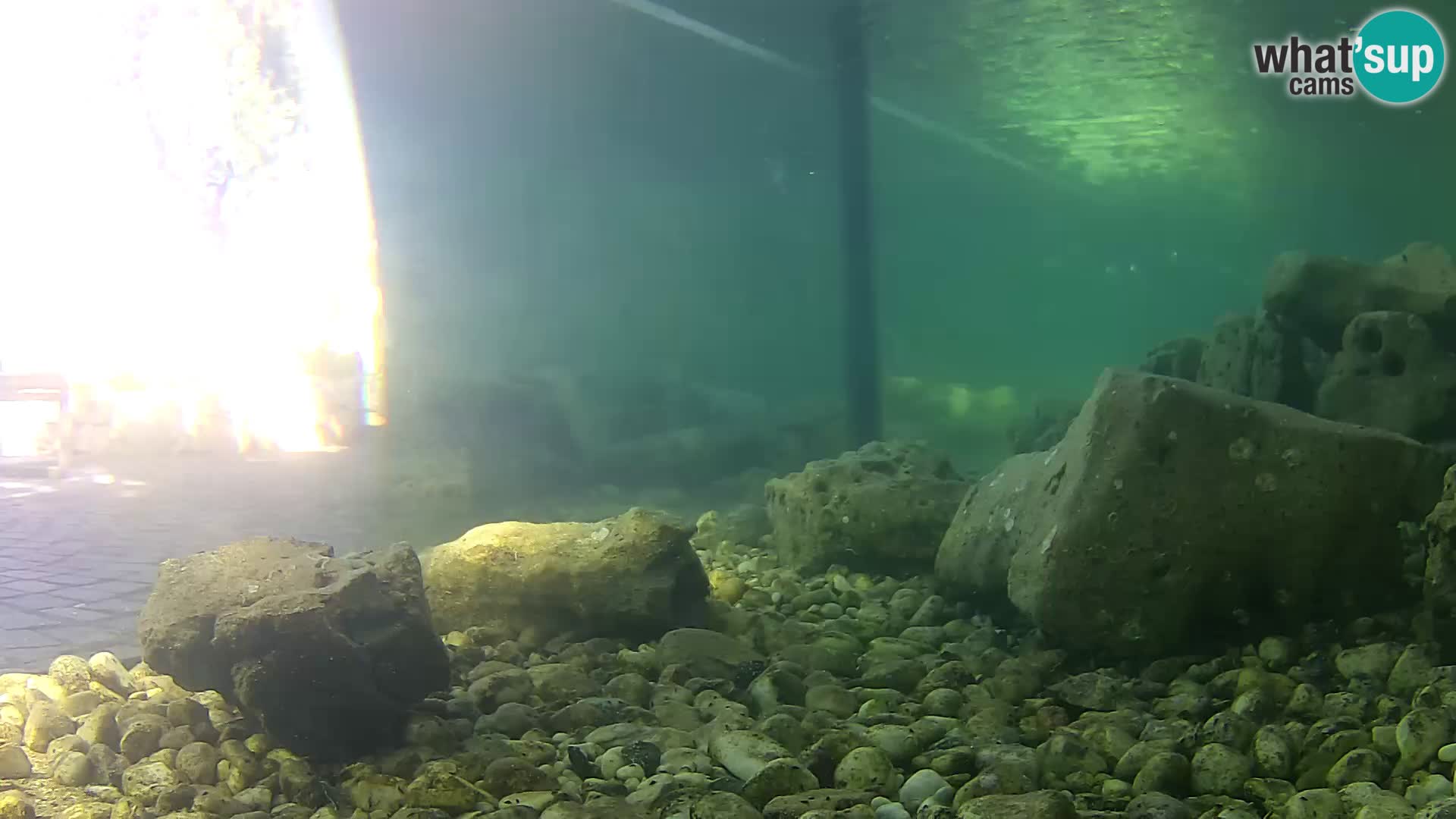 Webcam de l’aquarium marin extérieur de Rogoznica Croatie