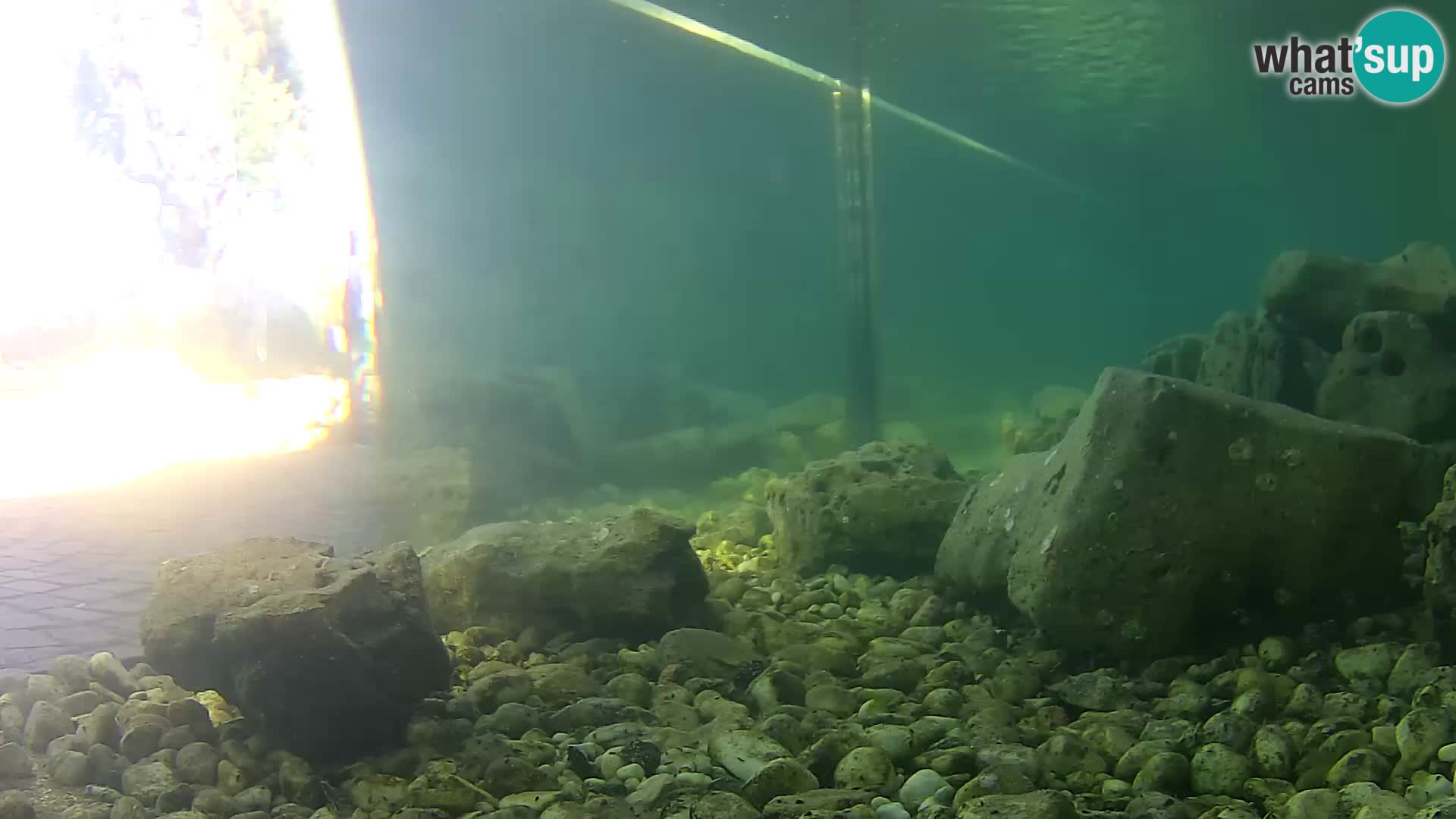 Aquario marino esterno –  Rogoznica livecam Croazia