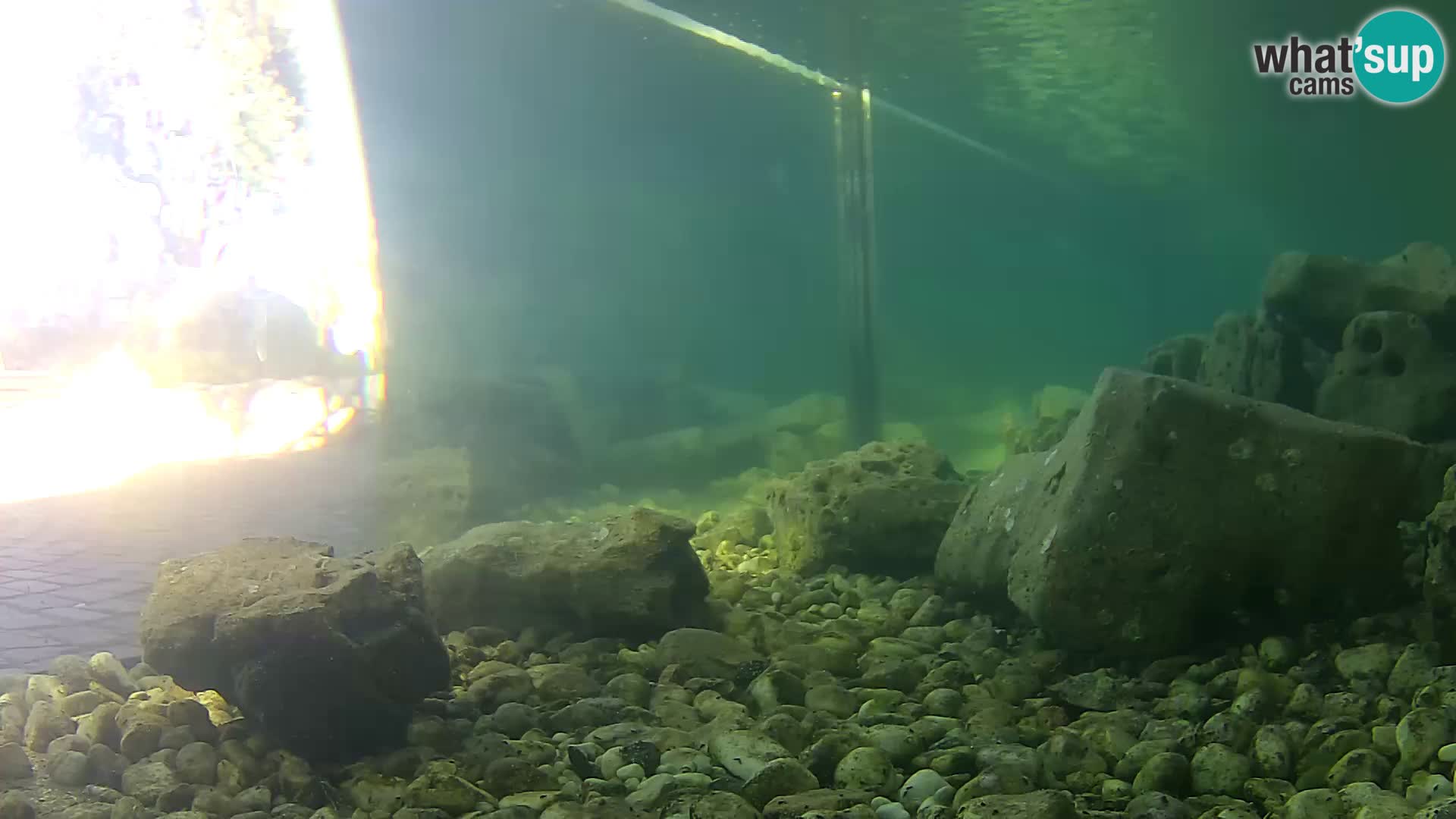 Zunanji morski akvarij Rogoznica spletna kamera Hrvaška