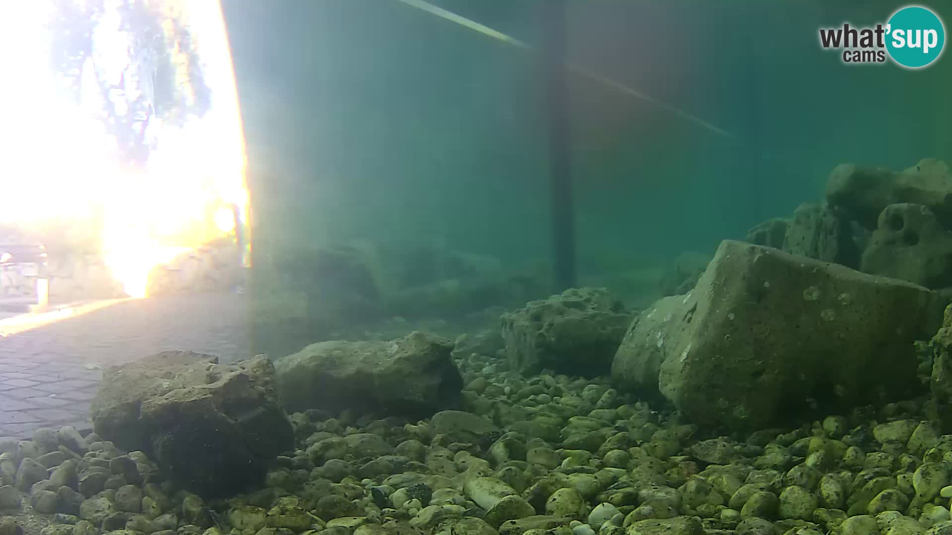Outdoor Marine Aquarium Rogoznica webcam Croatia