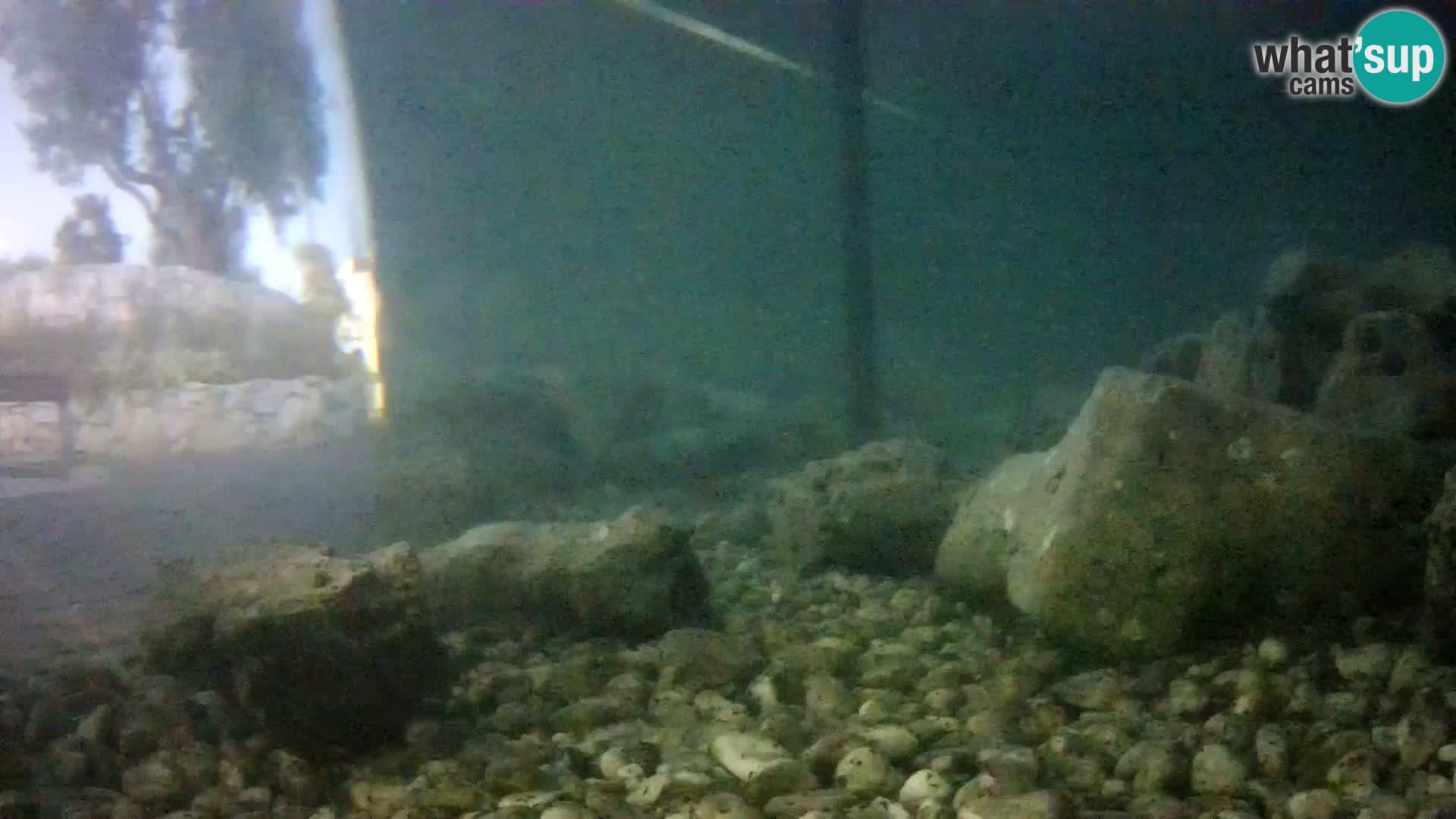Outdoor Marine Aquarium Rogoznica webcam Croatia