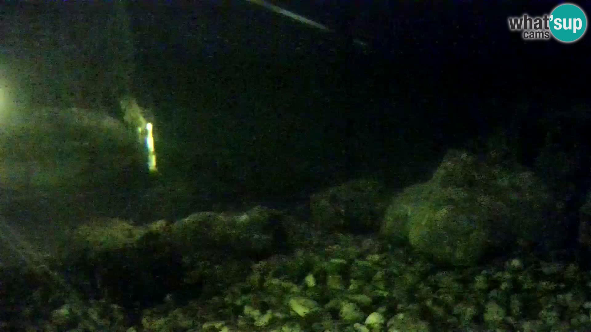 Zunanji morski akvarij Rogoznica spletna kamera Hrvaška