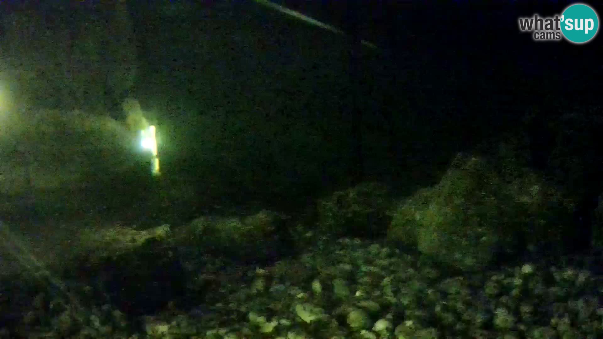 Aquario marino esterno –  Rogoznica livecam Croazia