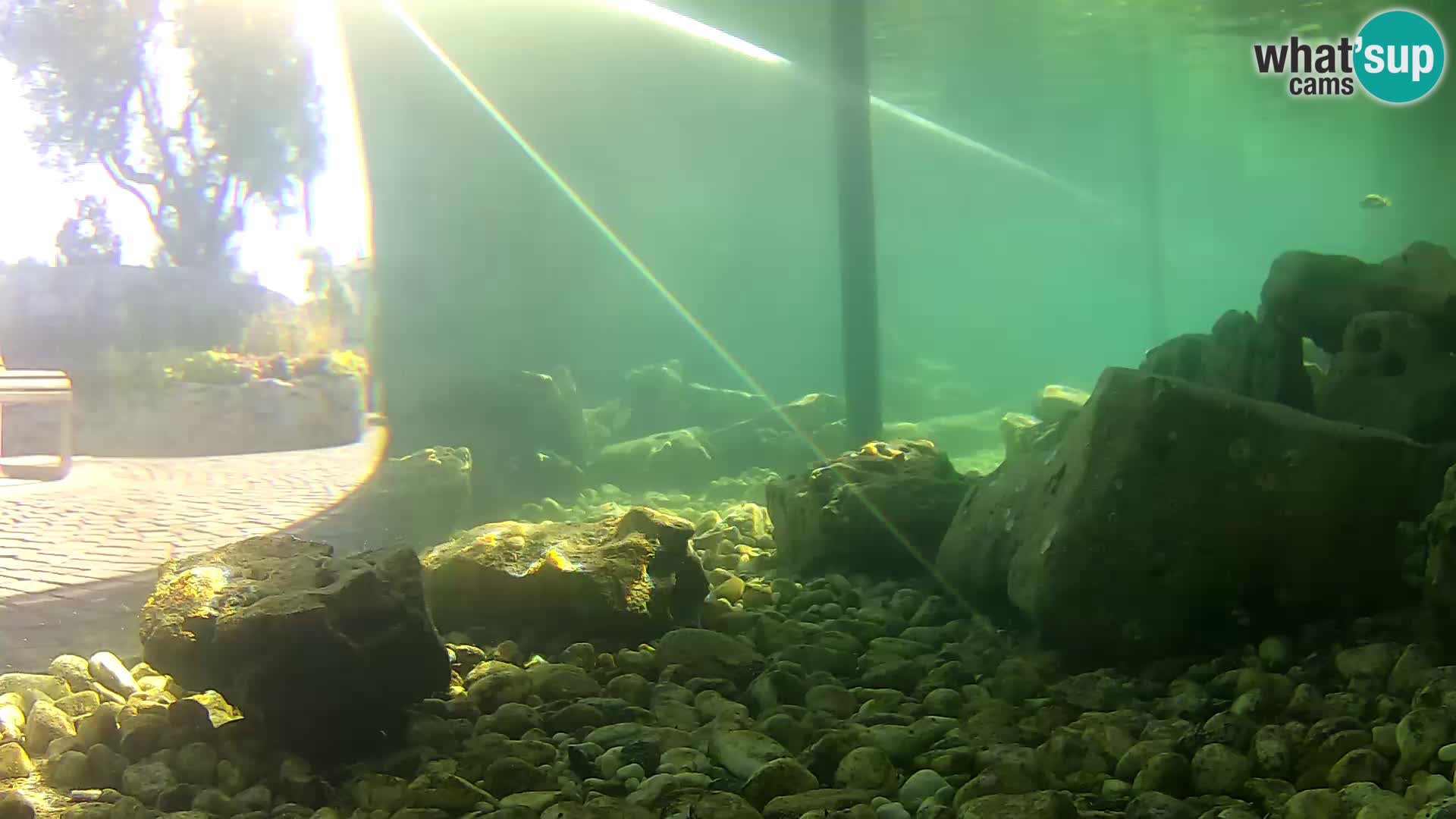 Marine Aquarium im Freien Rogoznica webcam Kroatien