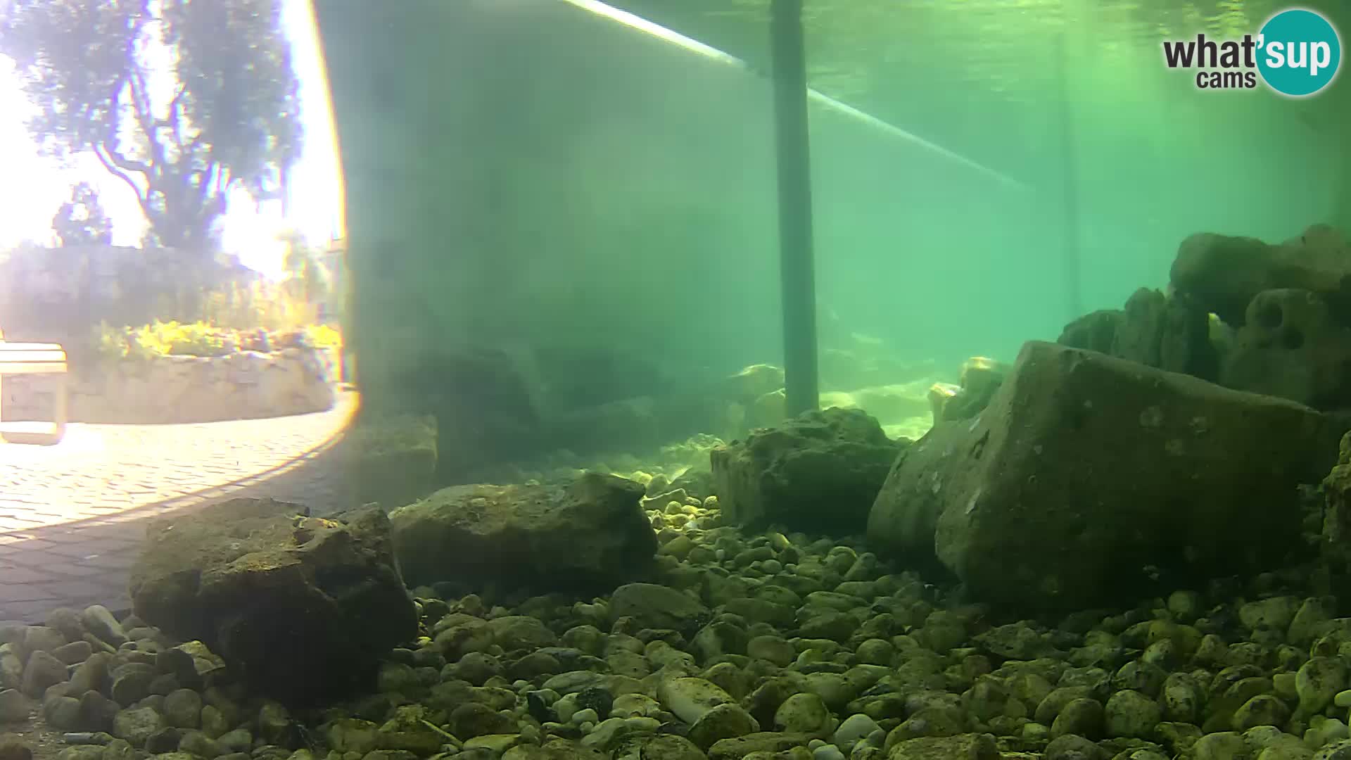 Outdoor Marine Aquarium Rogoznica webcam Croatia