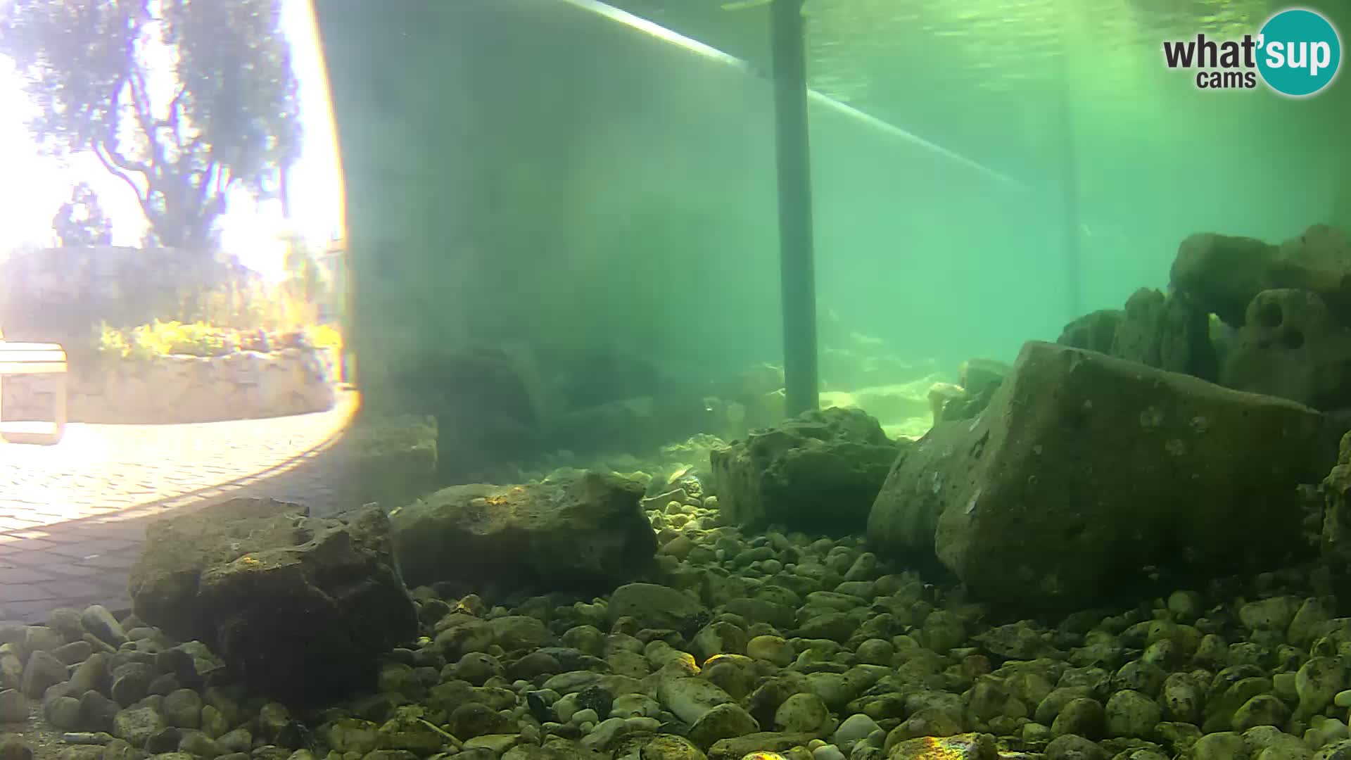 Outdoor Marine Aquarium Rogoznica webcam Croatia
