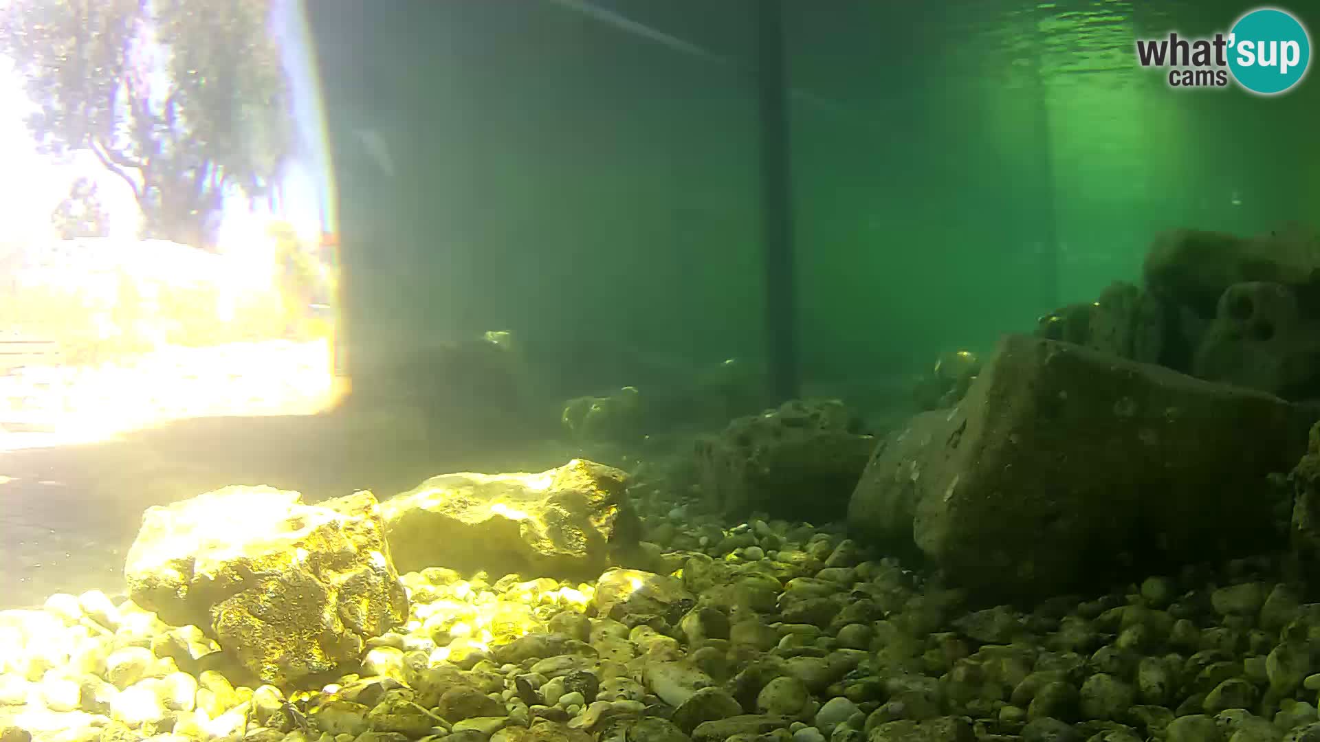 Marine Aquarium im Freien Rogoznica webcam Kroatien
