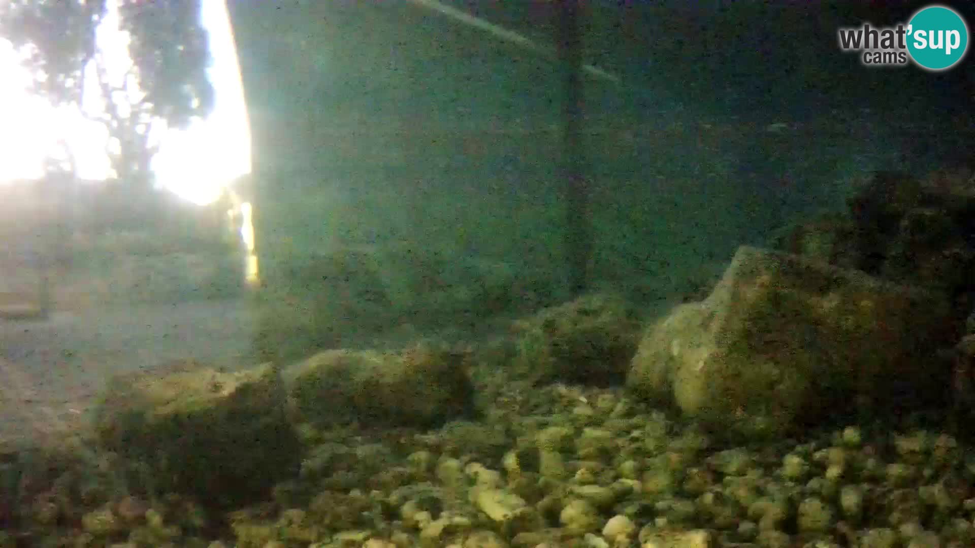 Webcam de l’aquarium marin extérieur de Rogoznica Croatie