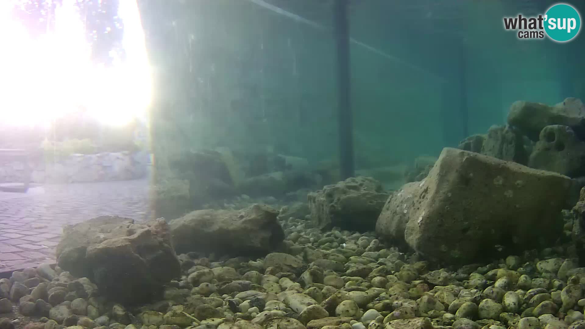 Marine Aquarium im Freien Rogoznica webcam Kroatien