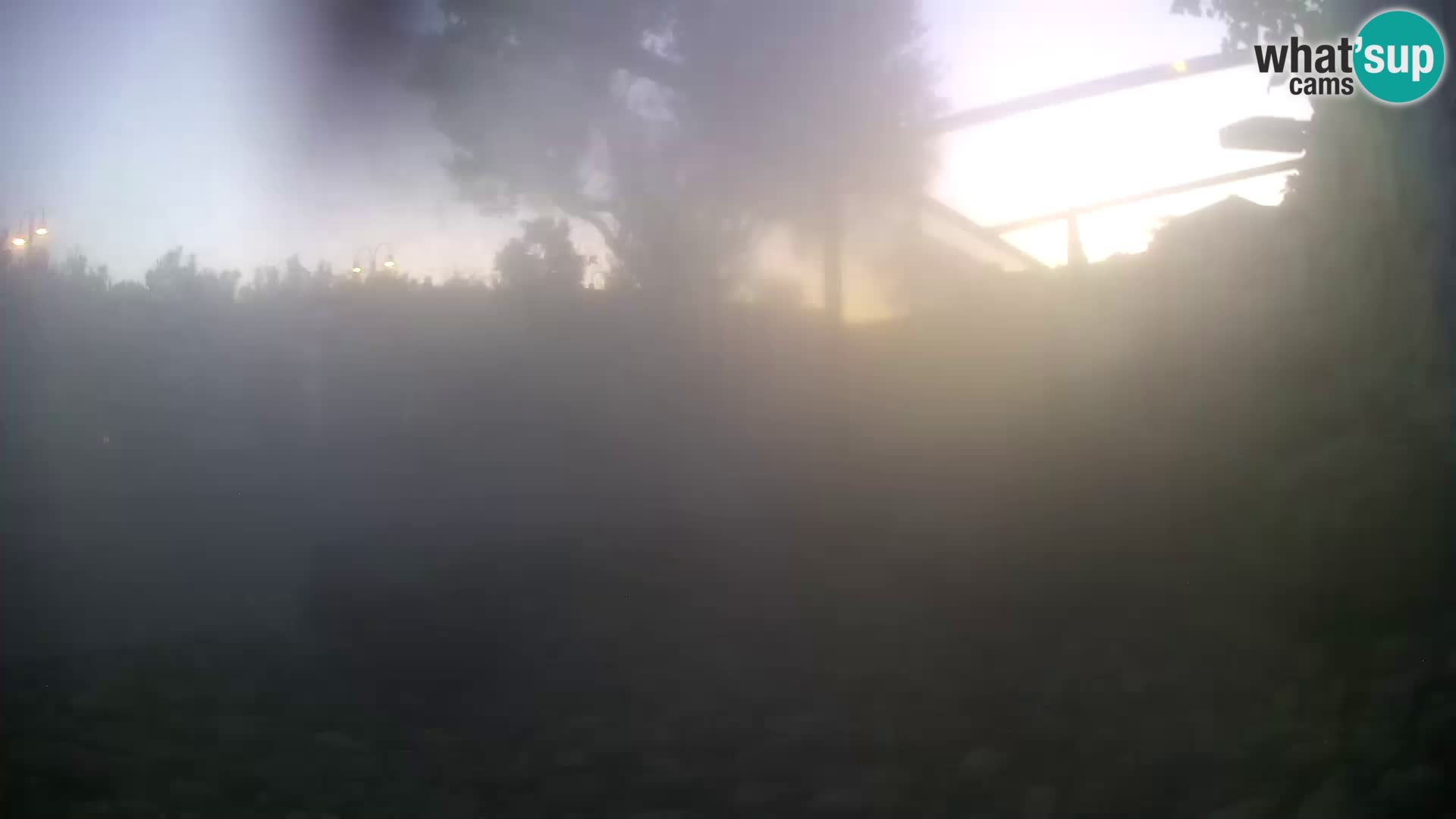 Zunanji morski akvarij Rogoznica spletna kamera Hrvaška