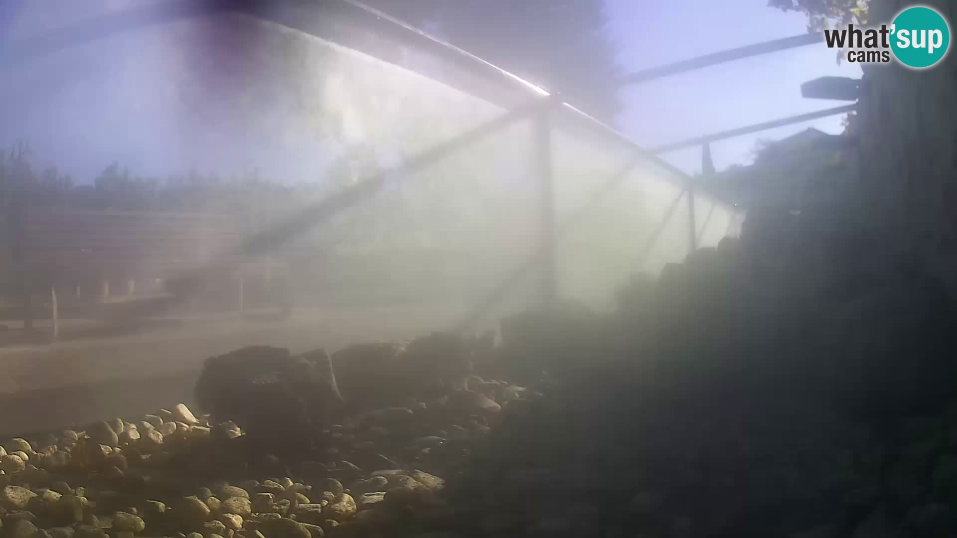 Zunanji morski akvarij Rogoznica spletna kamera Hrvaška