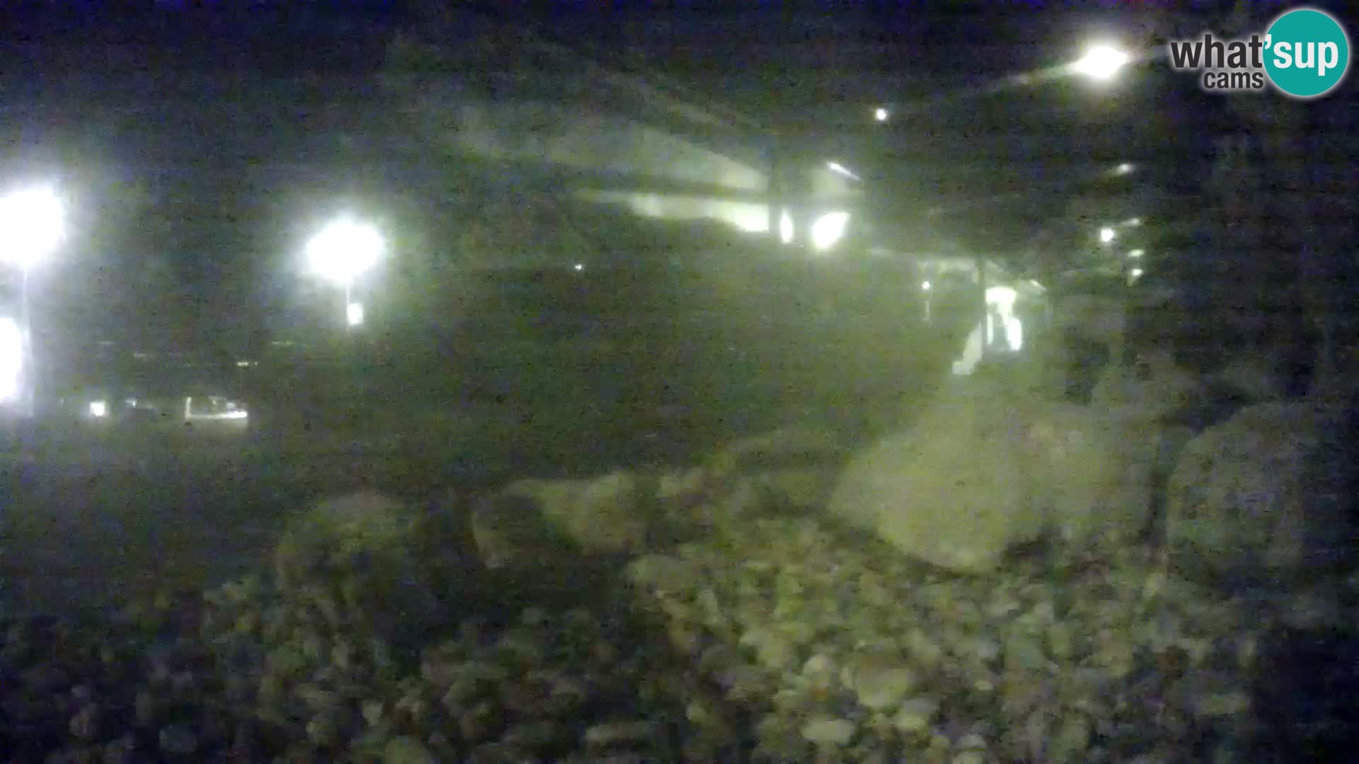 Acuario marino al aire libre Rogoznica webcam Croacia