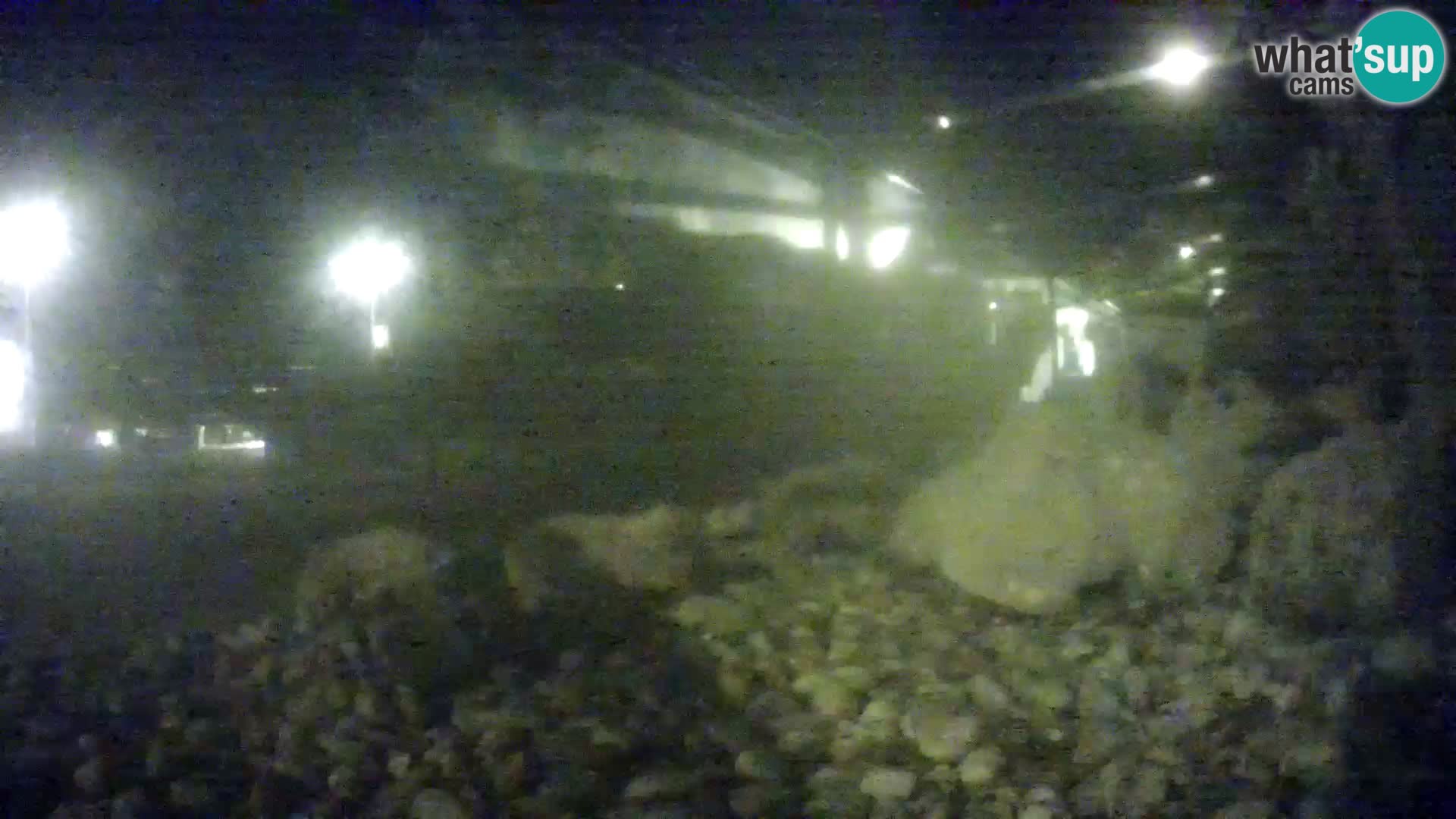 Aquario marino esterno –  Rogoznica livecam Croazia