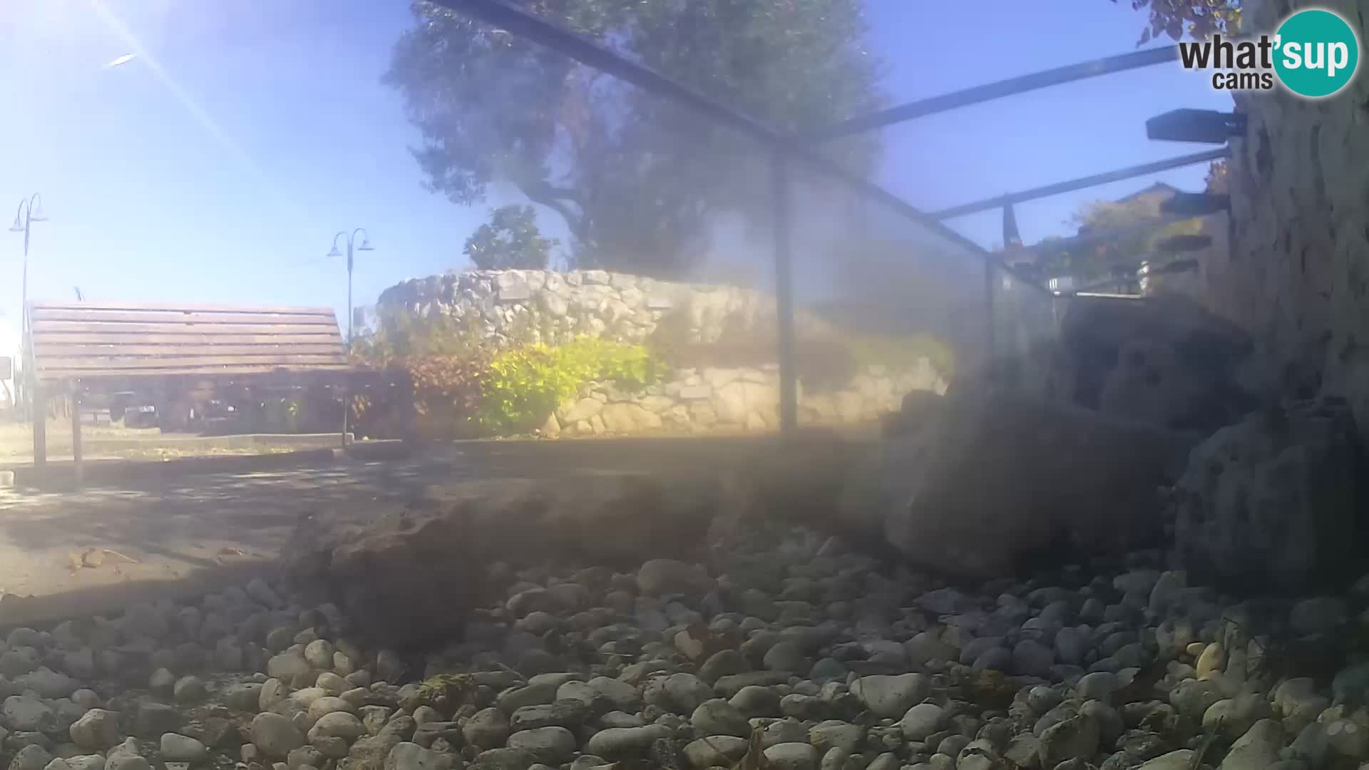 Outdoor Marine Aquarium Rogoznica webcam Croatia