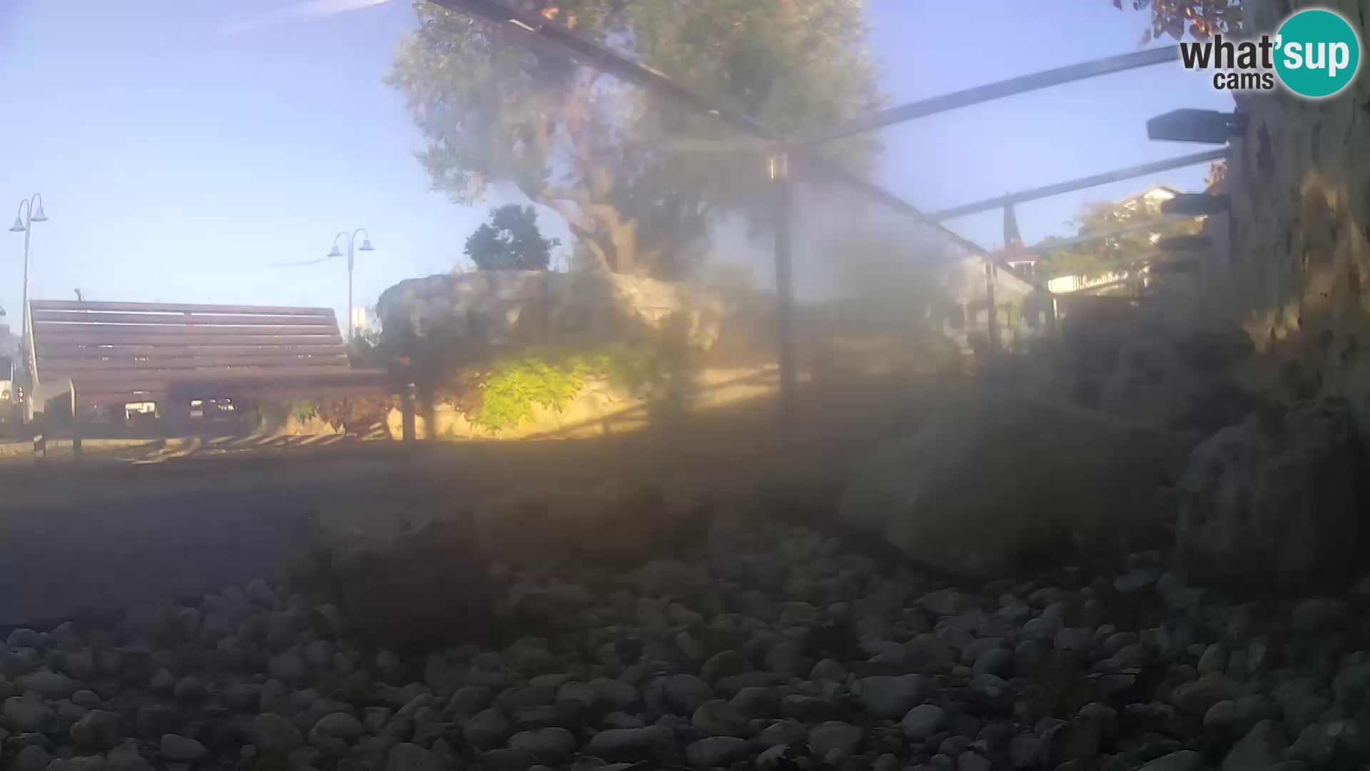 Webcam de l’aquarium marin extérieur de Rogoznica Croatie
