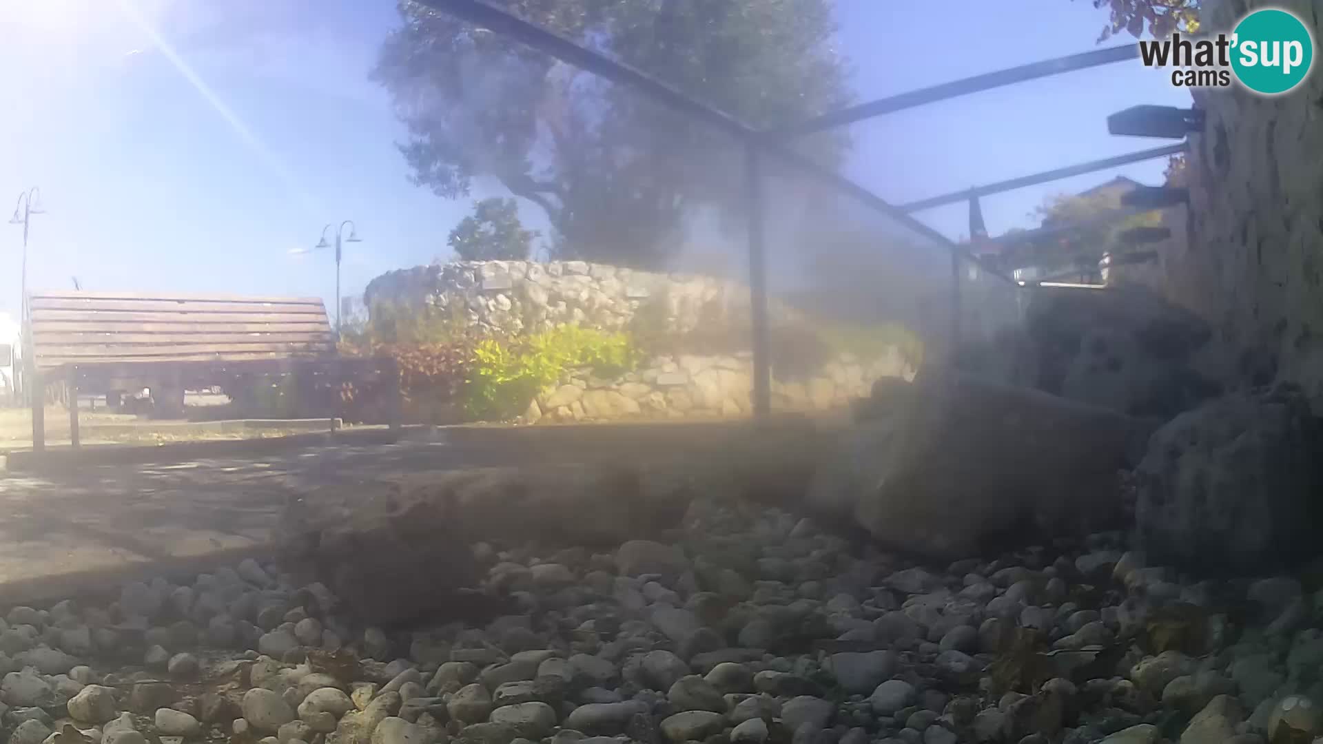 Zunanji morski akvarij Rogoznica spletna kamera Hrvaška