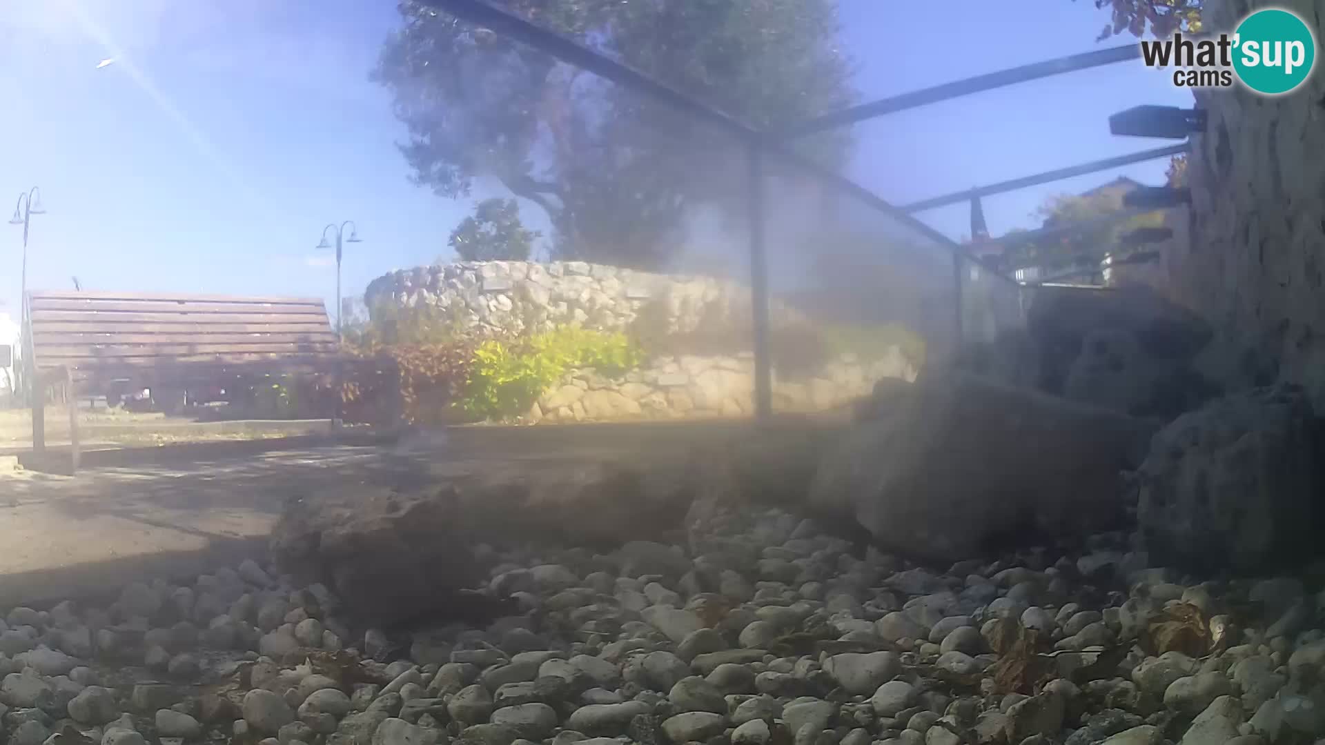 Zunanji morski akvarij Rogoznica spletna kamera Hrvaška